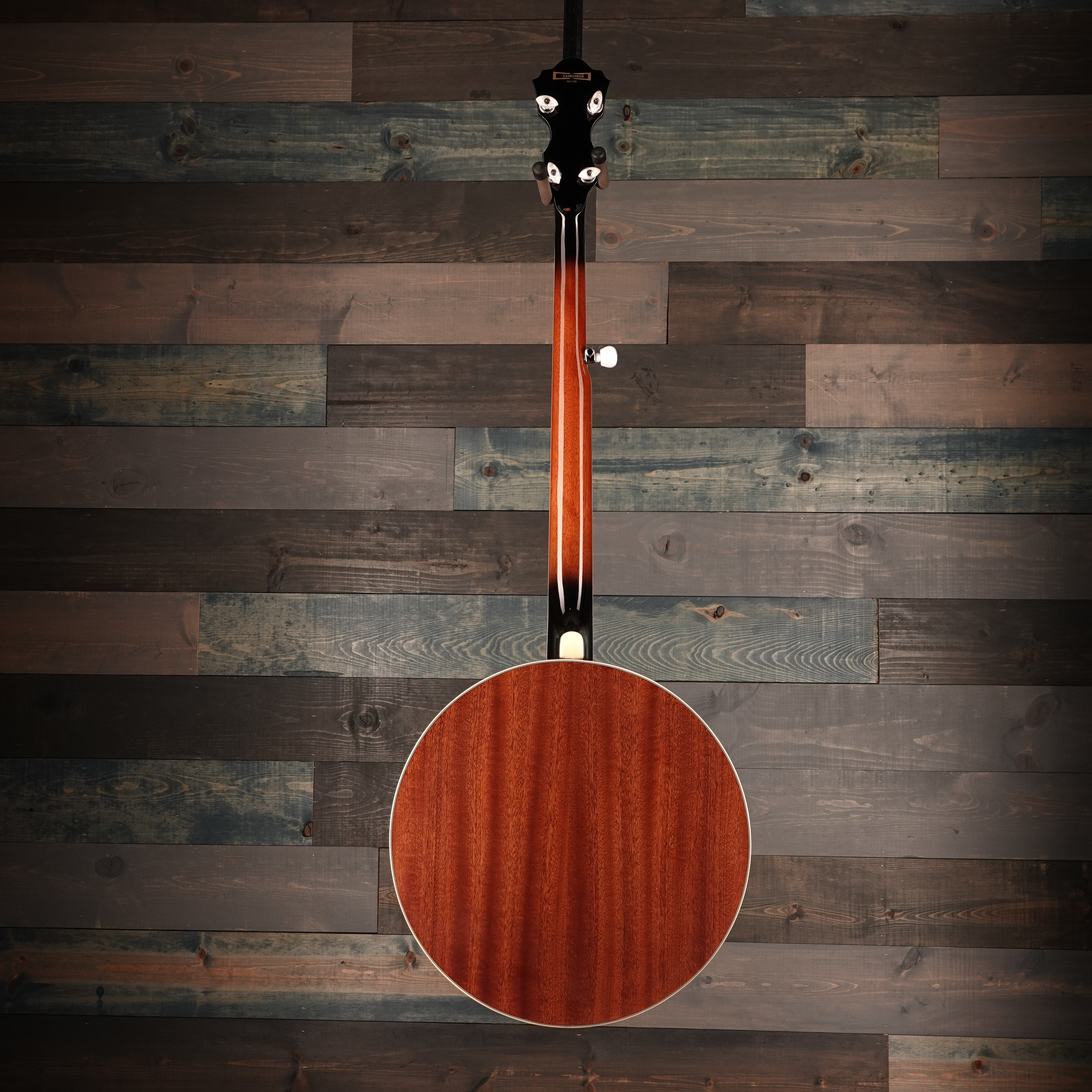 Ibanez B200 5-String Banjo Natural Closed Back