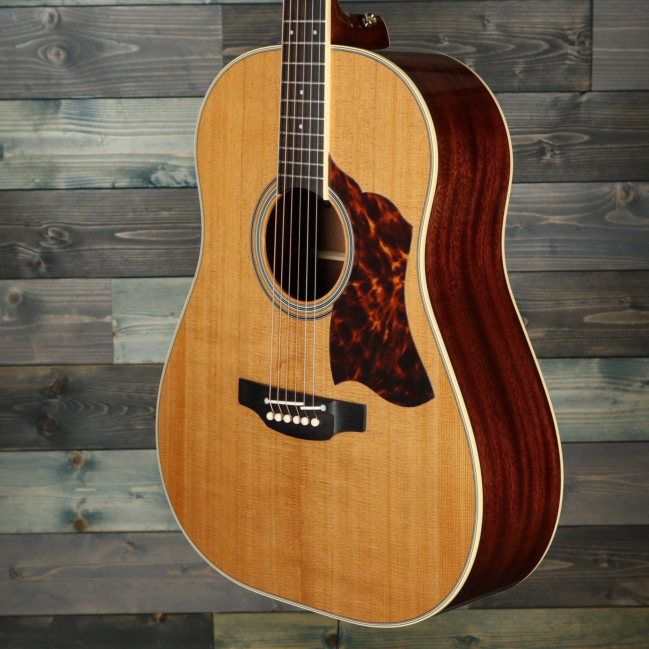 Takamine CRN-TS1 Thermal Spruce Dreadnought Acoustic Guitar