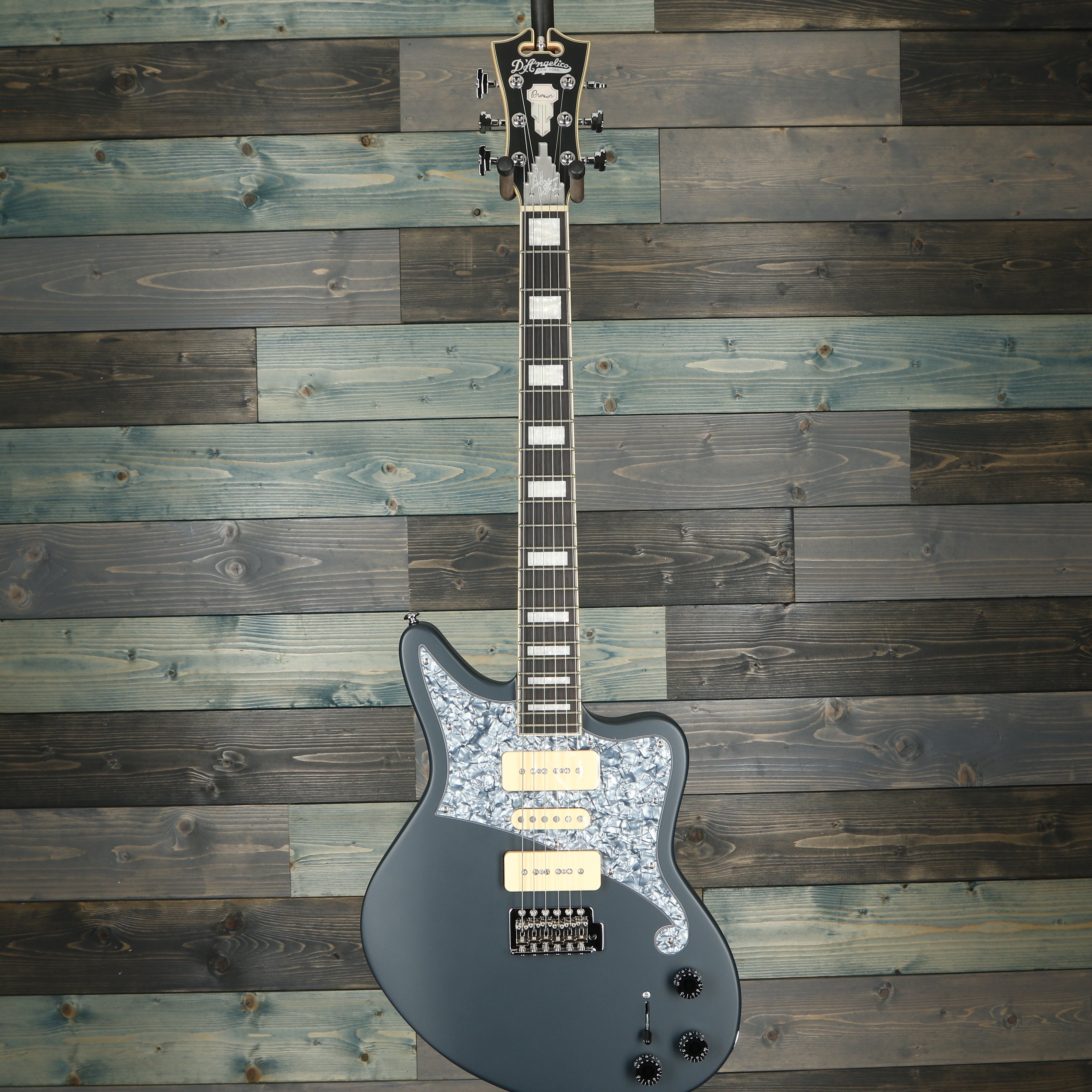 D'Angelico Premier Series Bob Weir Signature Guitar - Matte Stone