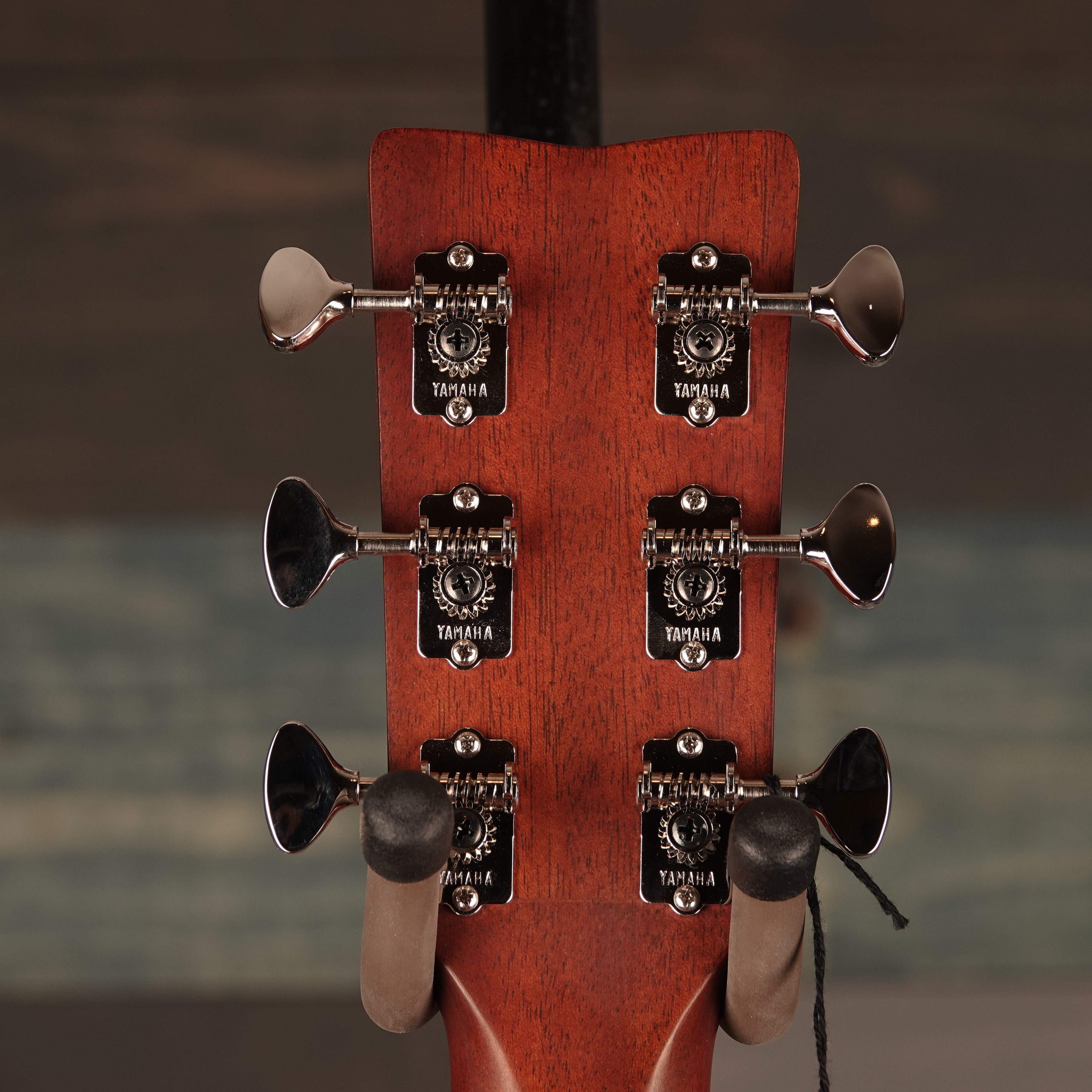 Yamaha FSX3 Red Label Concert A/E Guitar