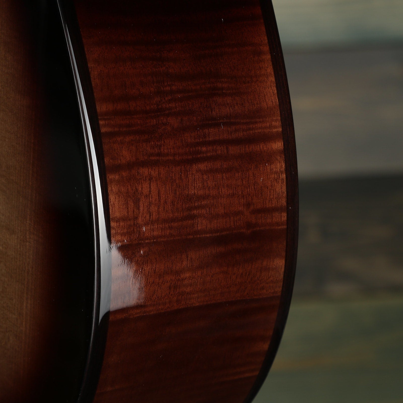 Cordoba Fusion 5 Electric Nylon String Guitar - Sonata Burst