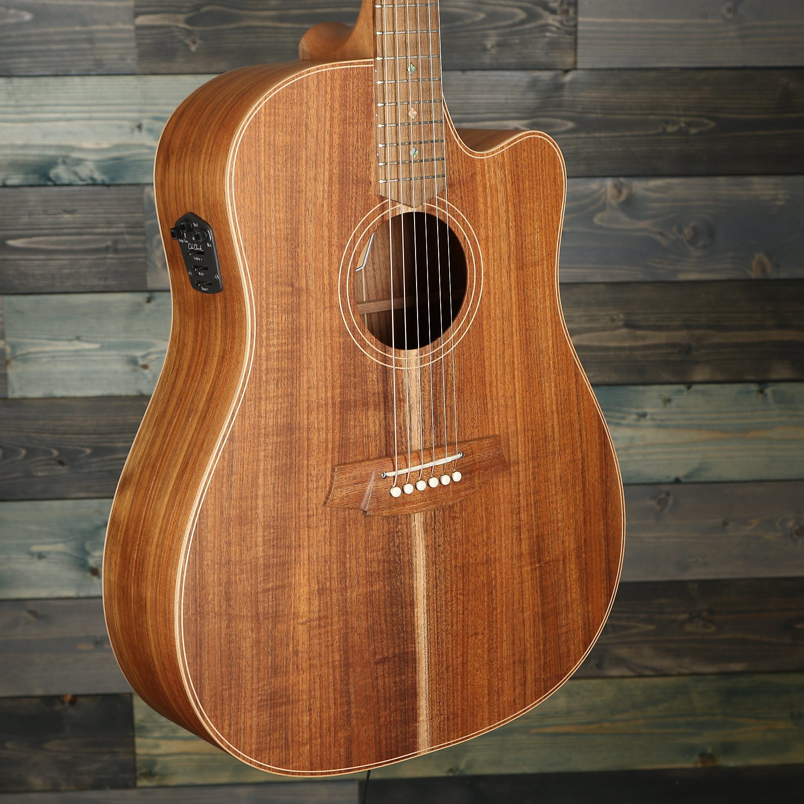 Cole Clark Fat Lady 2 Series FL2EC-BLBL Acoustic - Blackwood/Blackwood