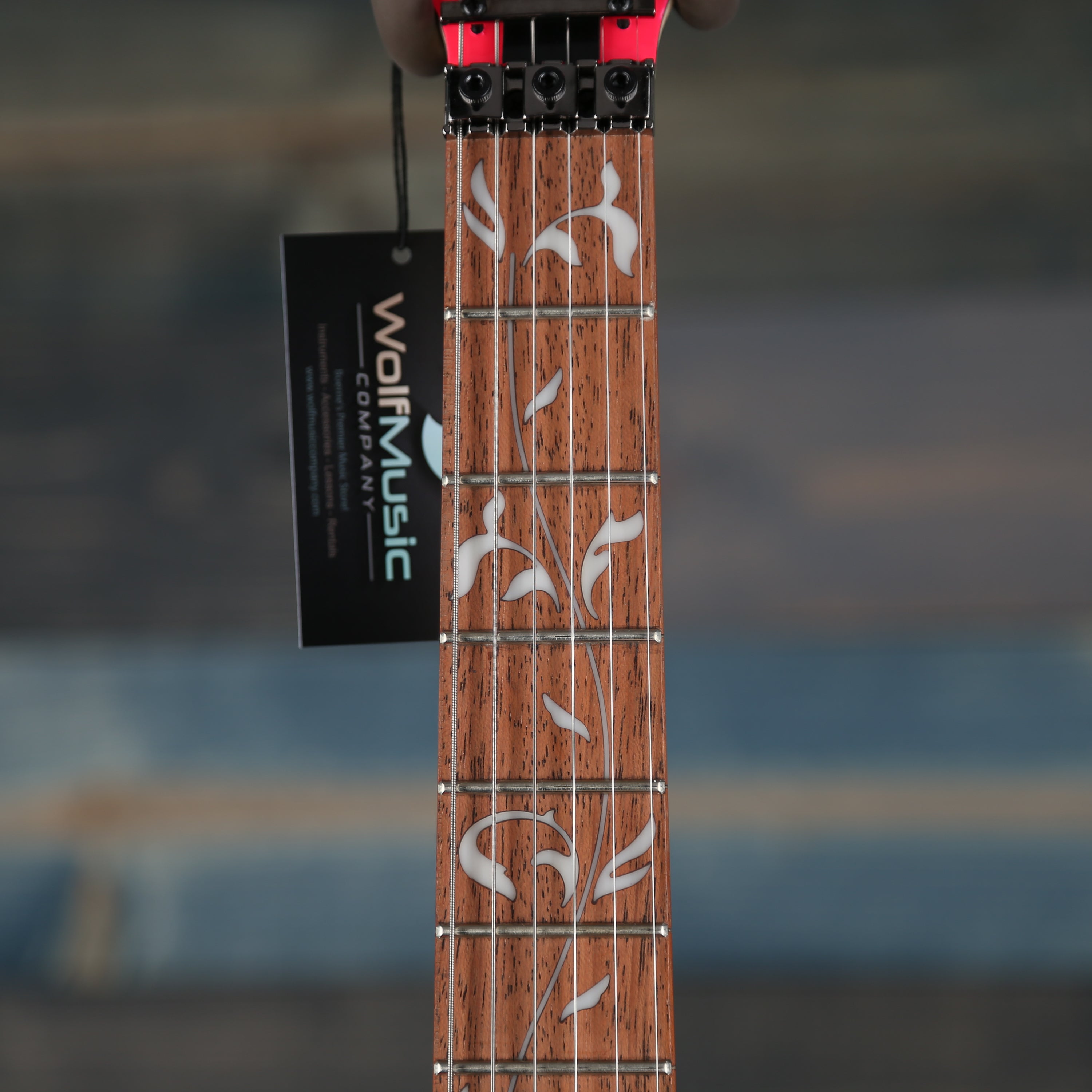 Ibanez JEMJRSPPK Steve Vai Signature Electric Guitar - Pink