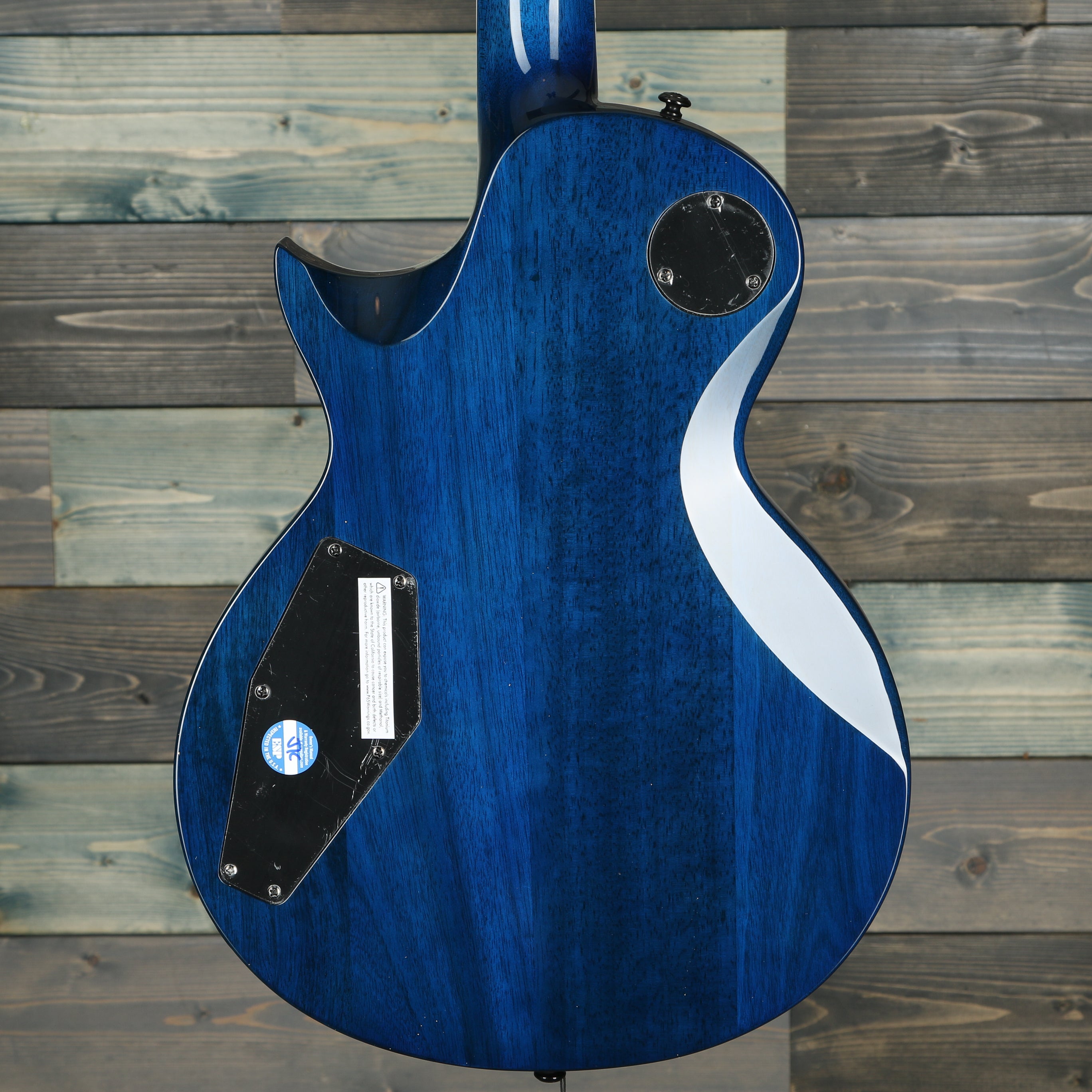 ESP LTD EC-1000 Electric Guitar - Blue Natural Fade