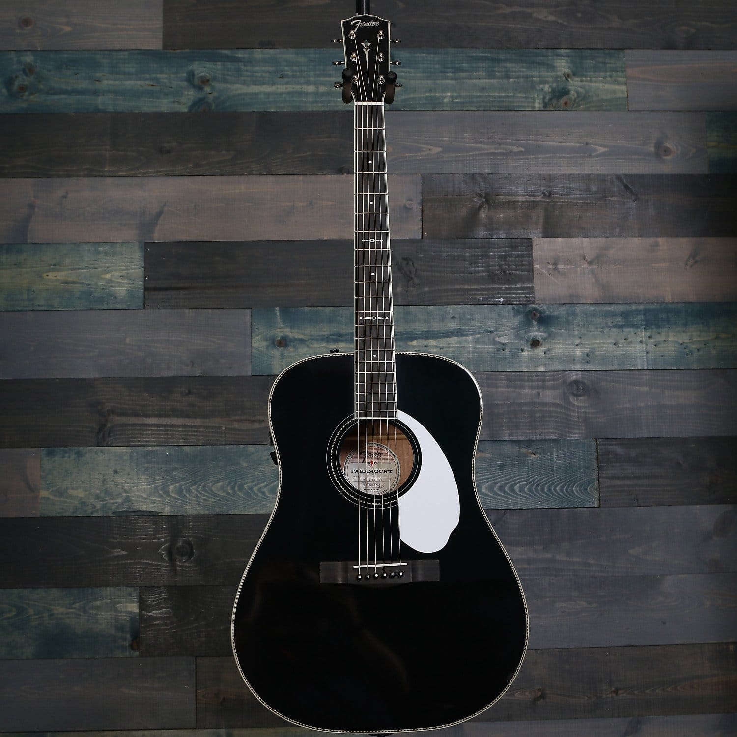 Fender PM-1E Dreadnought Limited Edition Black w/case