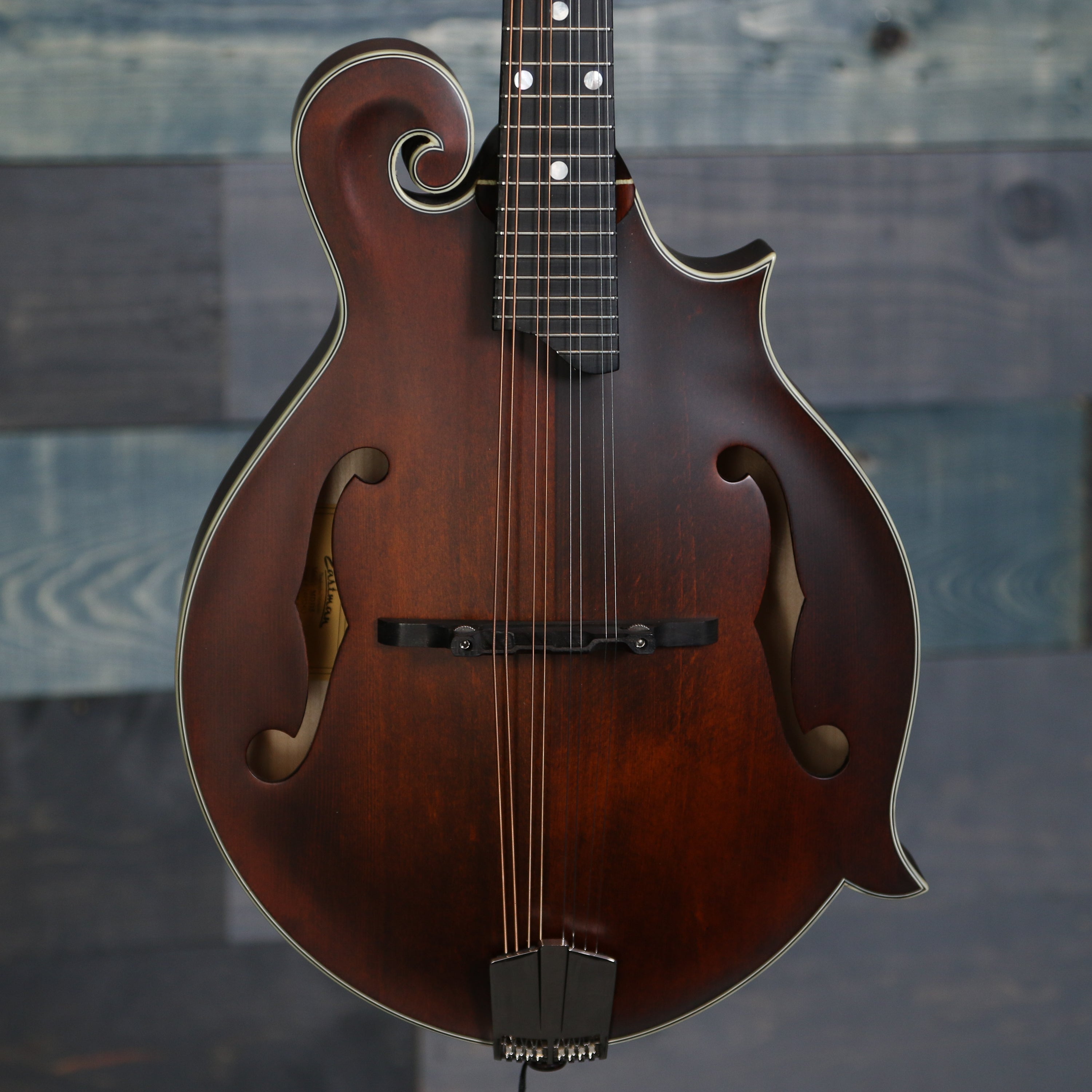 Eastman MD315 F-Style Mandolin w/Gig Bag - Classic