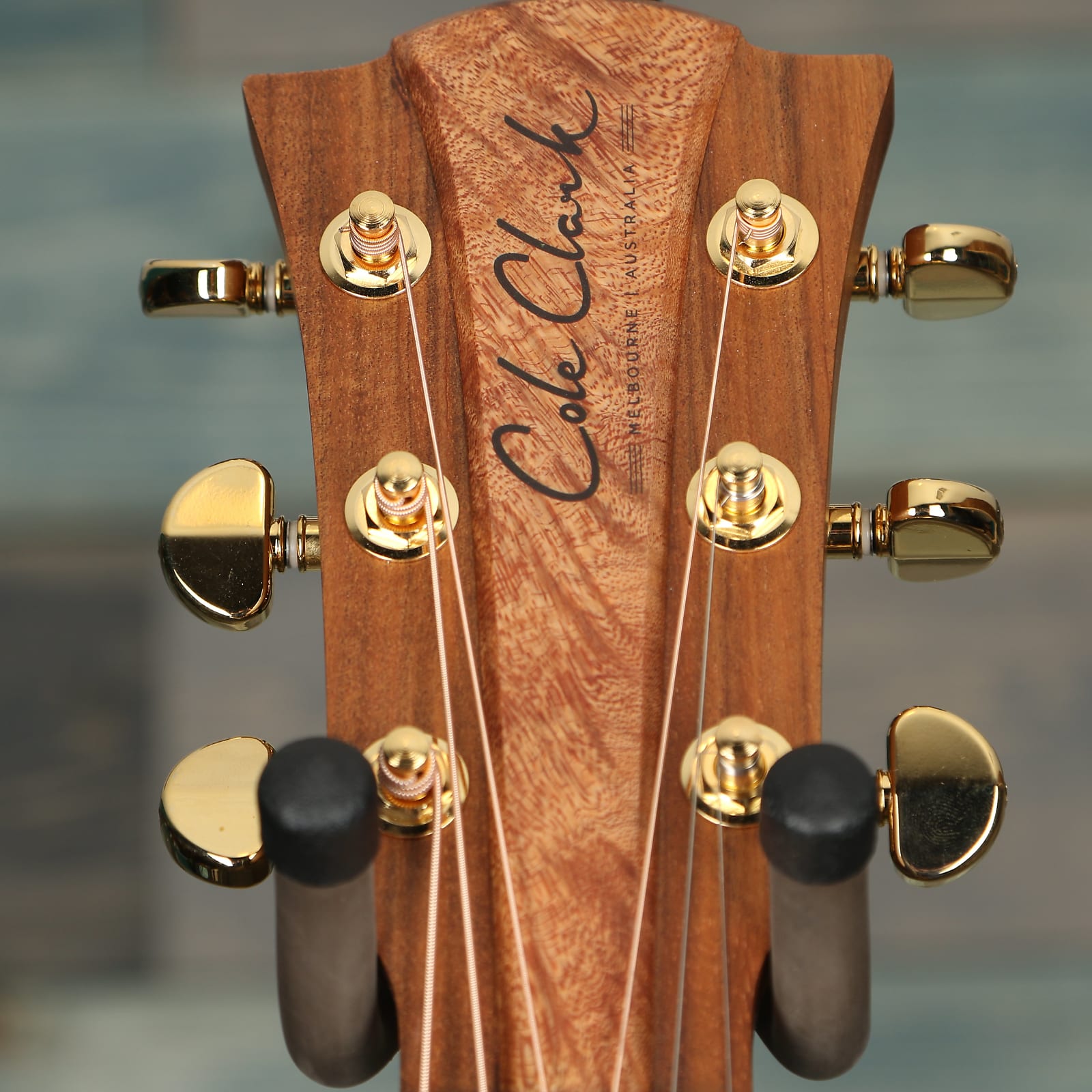 Cole Clark Fat Lady 2 Series FL2EC-BLBLSB Australian Blackwood Face
