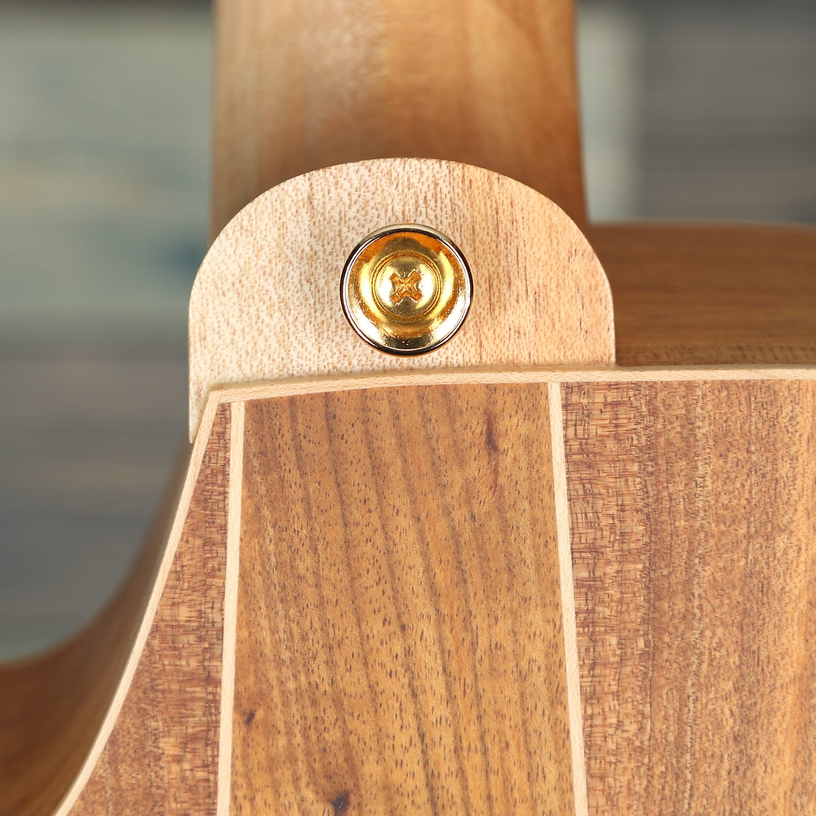 Cole Clark Fat Lady 2 Series FL2EC-RDBLSB Acoustic - Redwood/Blackwood