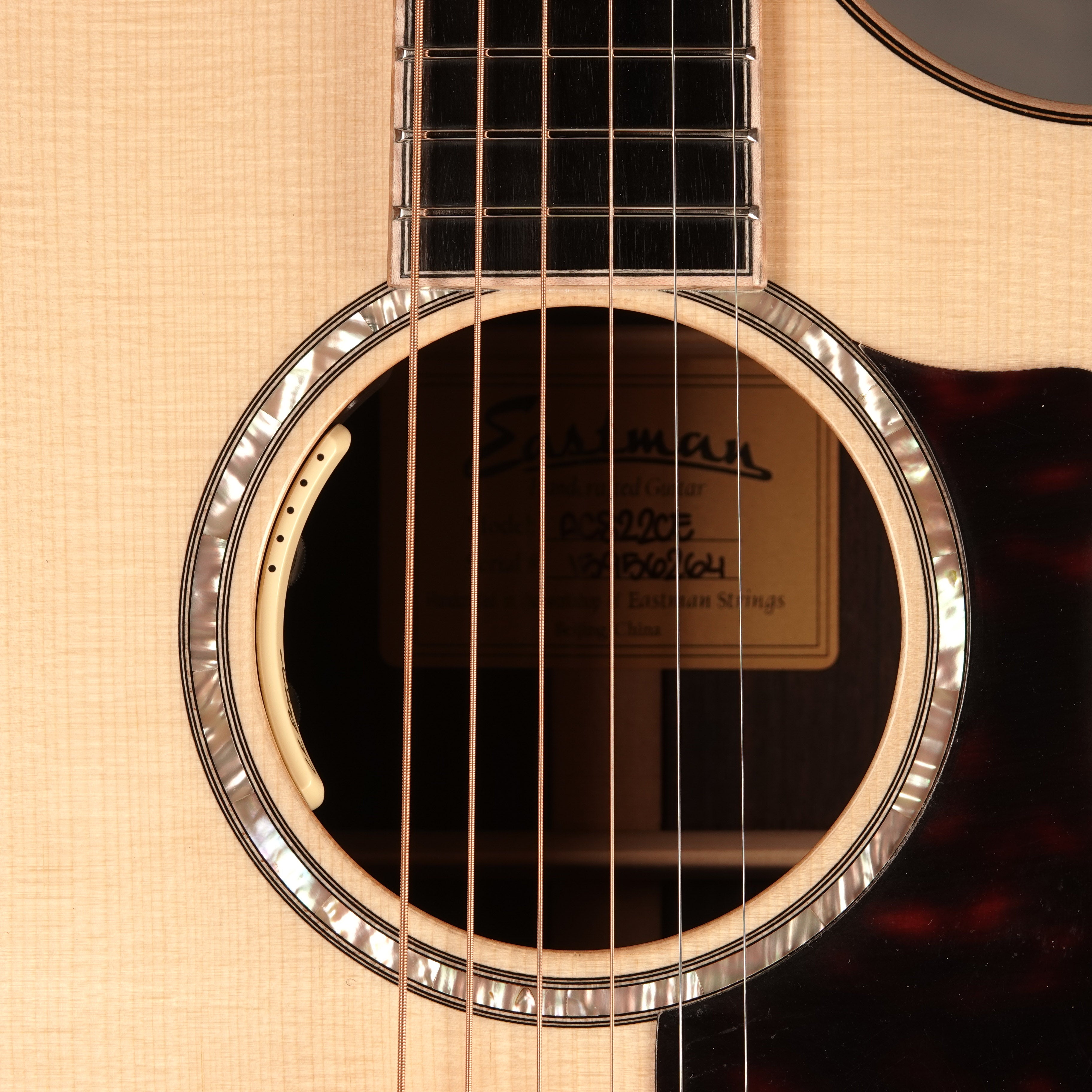 Eastman Guitars AC822CE Custom Rosewood Auditorium Cutaway A/E