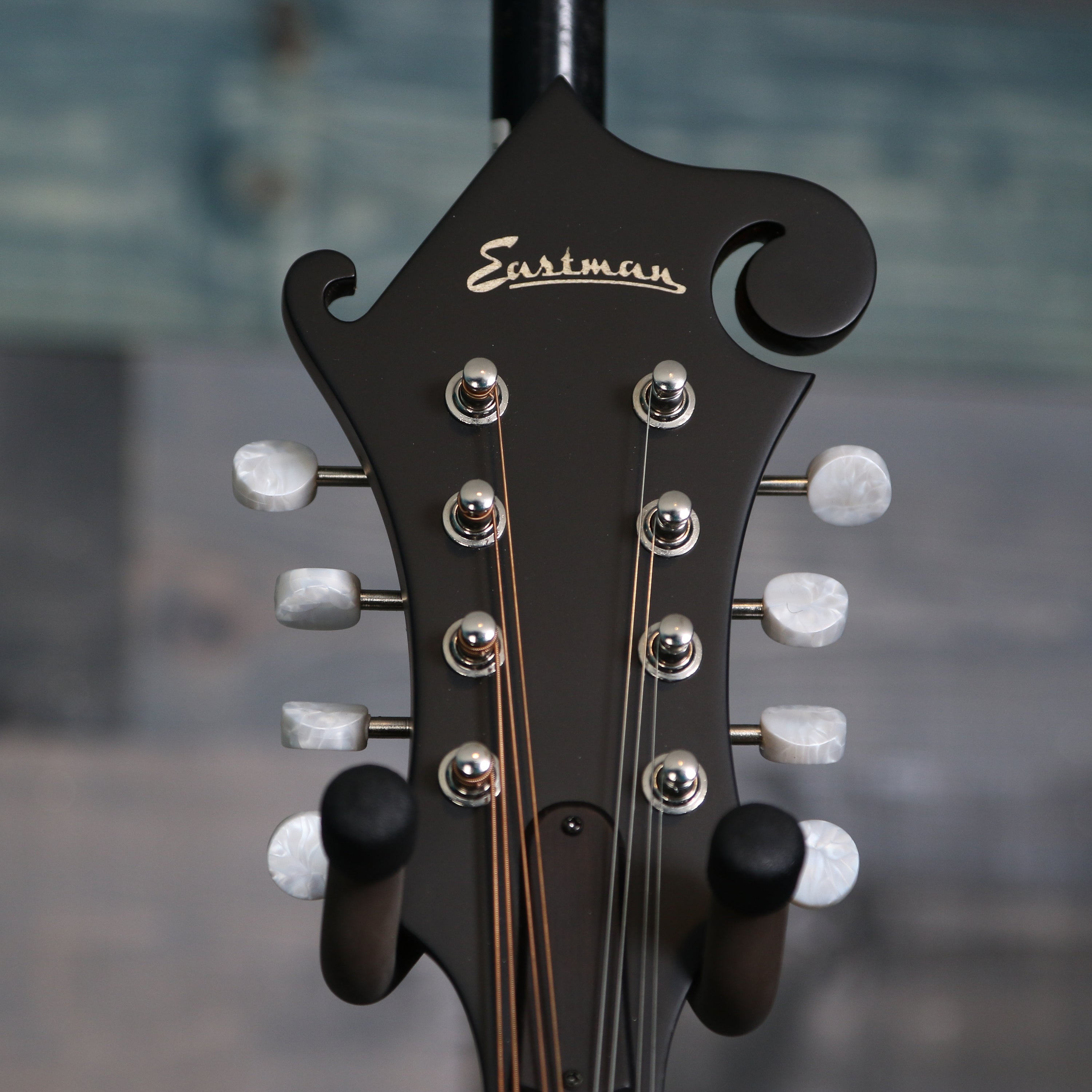 Eastman MD315 F-Style Mandolin w/Gig Bag - Classic