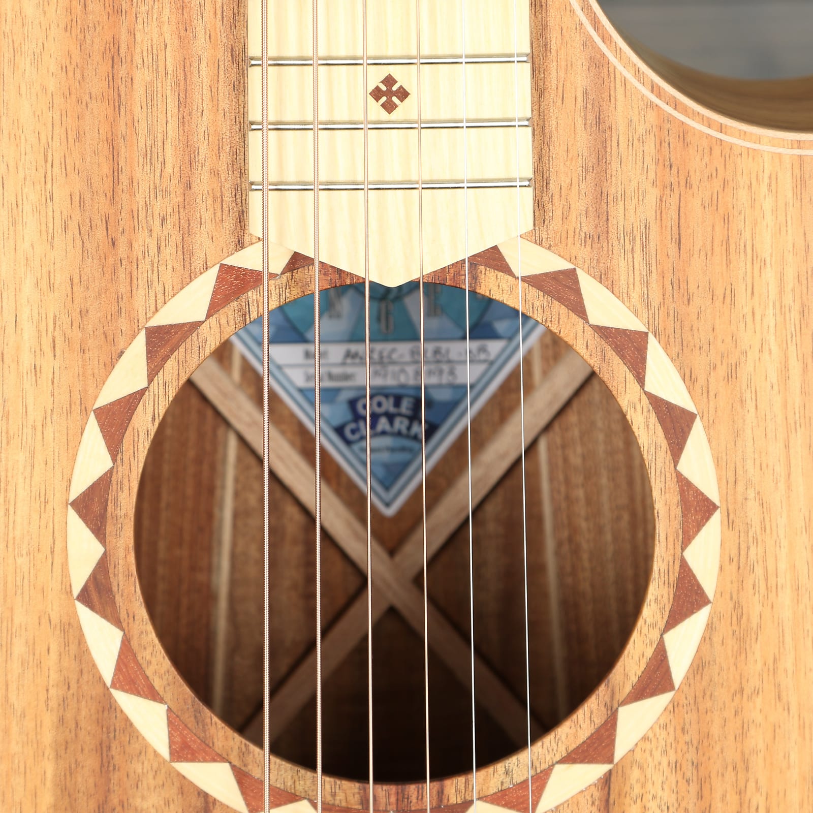 Cole Clark Angel 2 Series AN2EC-BLBLSB Acoustic - Blackwood/Blackwood