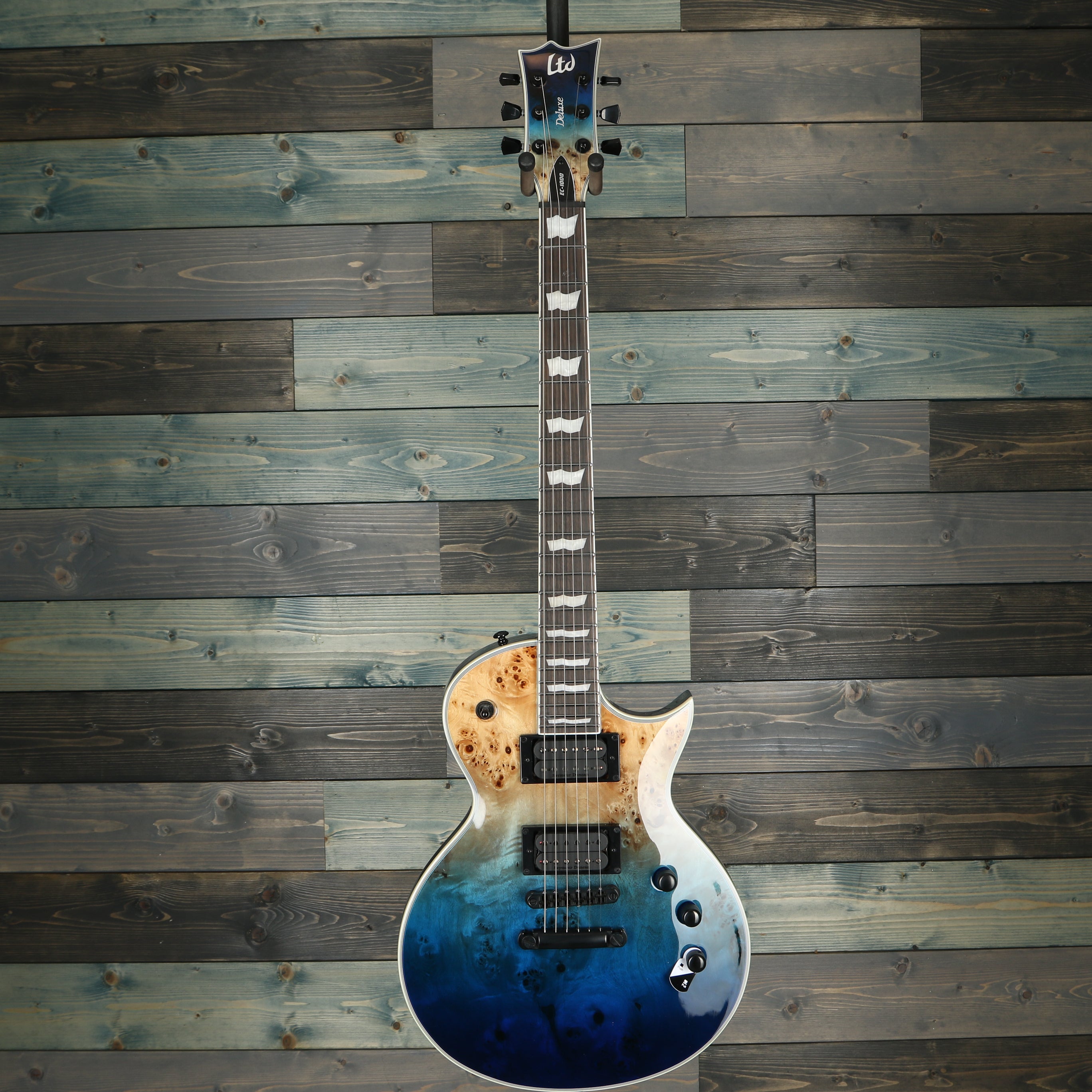 ESP LTD EC-1000 Electric Guitar - Blue Natural Fade