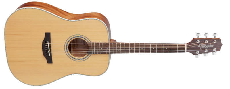 Takamine GD20 NS Acoustic Guitar - Natural Satin