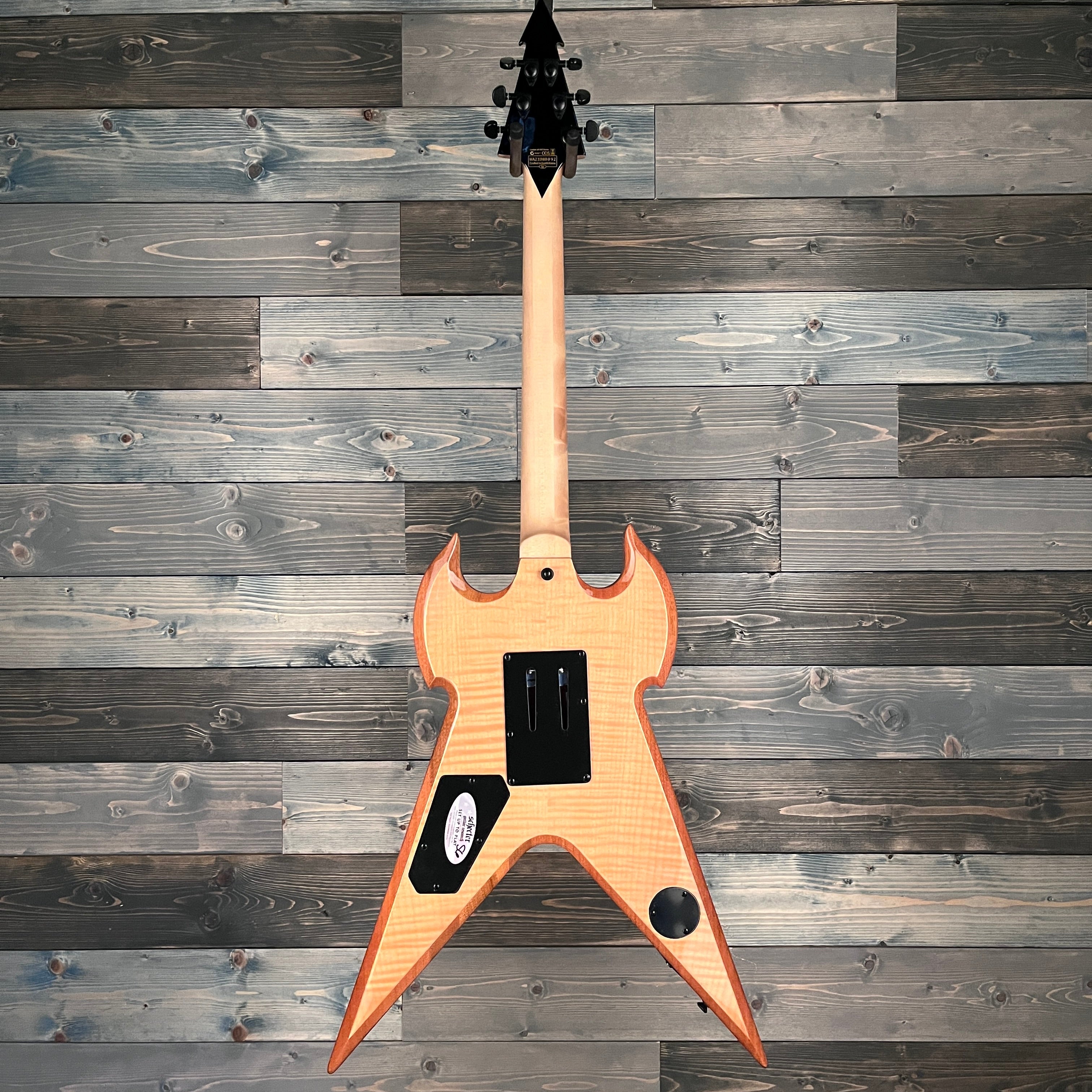 Wylde Audio Warhammer FR Norse Dragon Bullseye Raw Guitar