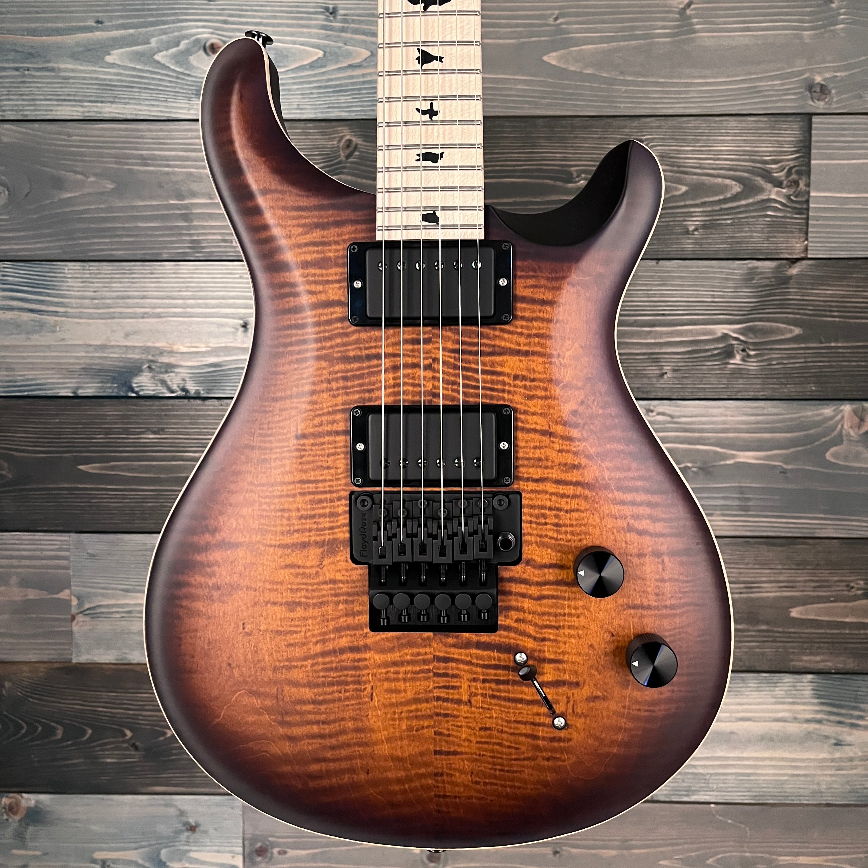 PRS Dustie Waring CE 24 "Floyd" - Burnt Amber Smokeburst