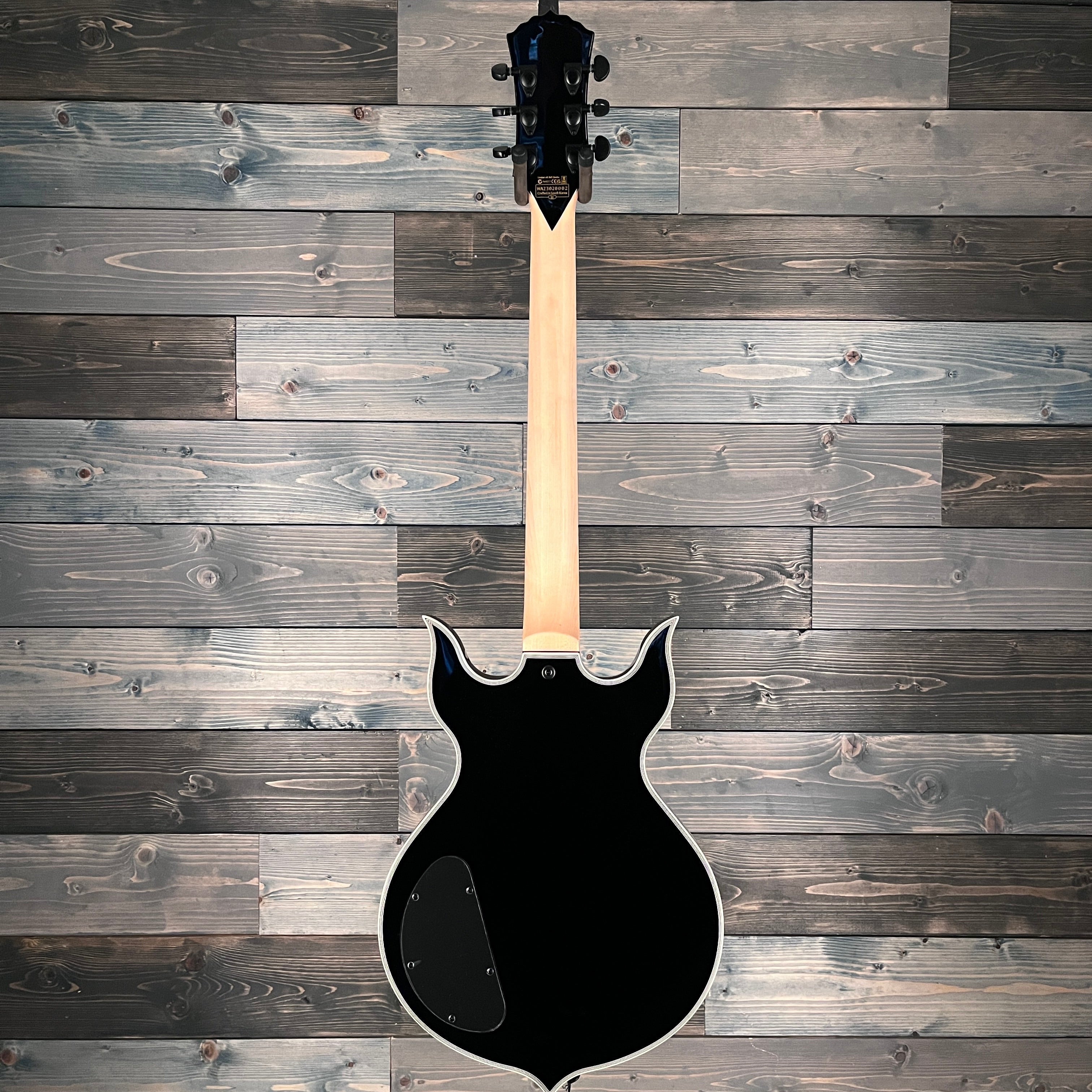 Wylde Audio 4550 Heathen Grail Electric - Tortoise Black