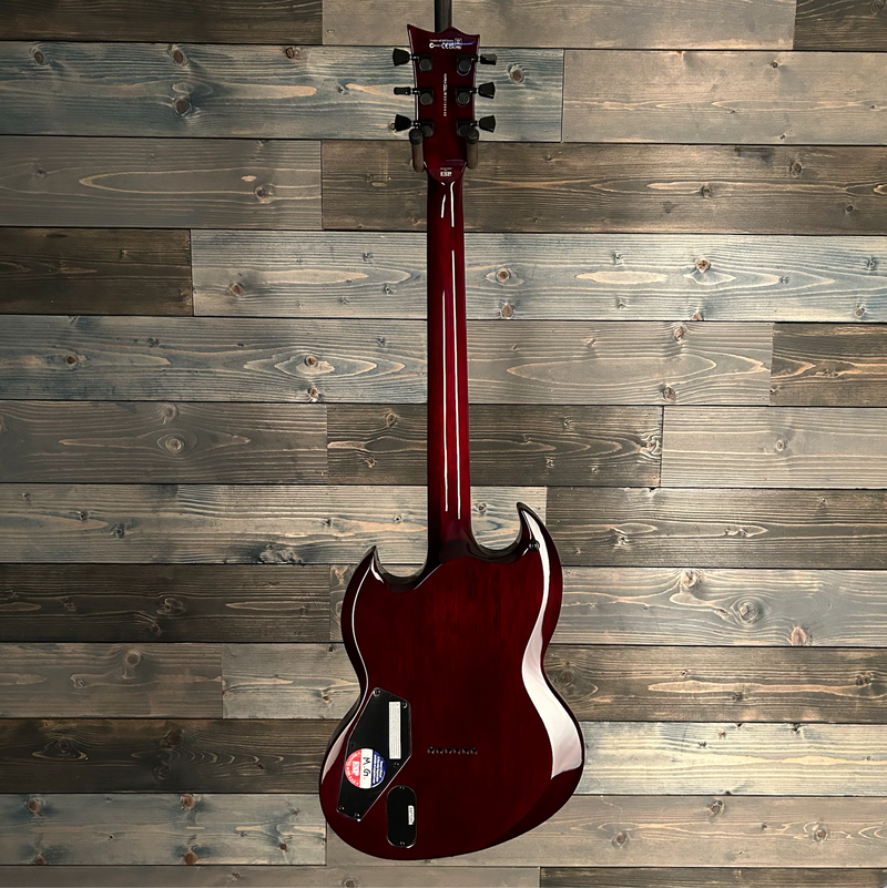 ESP LTD Viper-1000 Mahogany Electric Guitar - See Thru Black Cherry