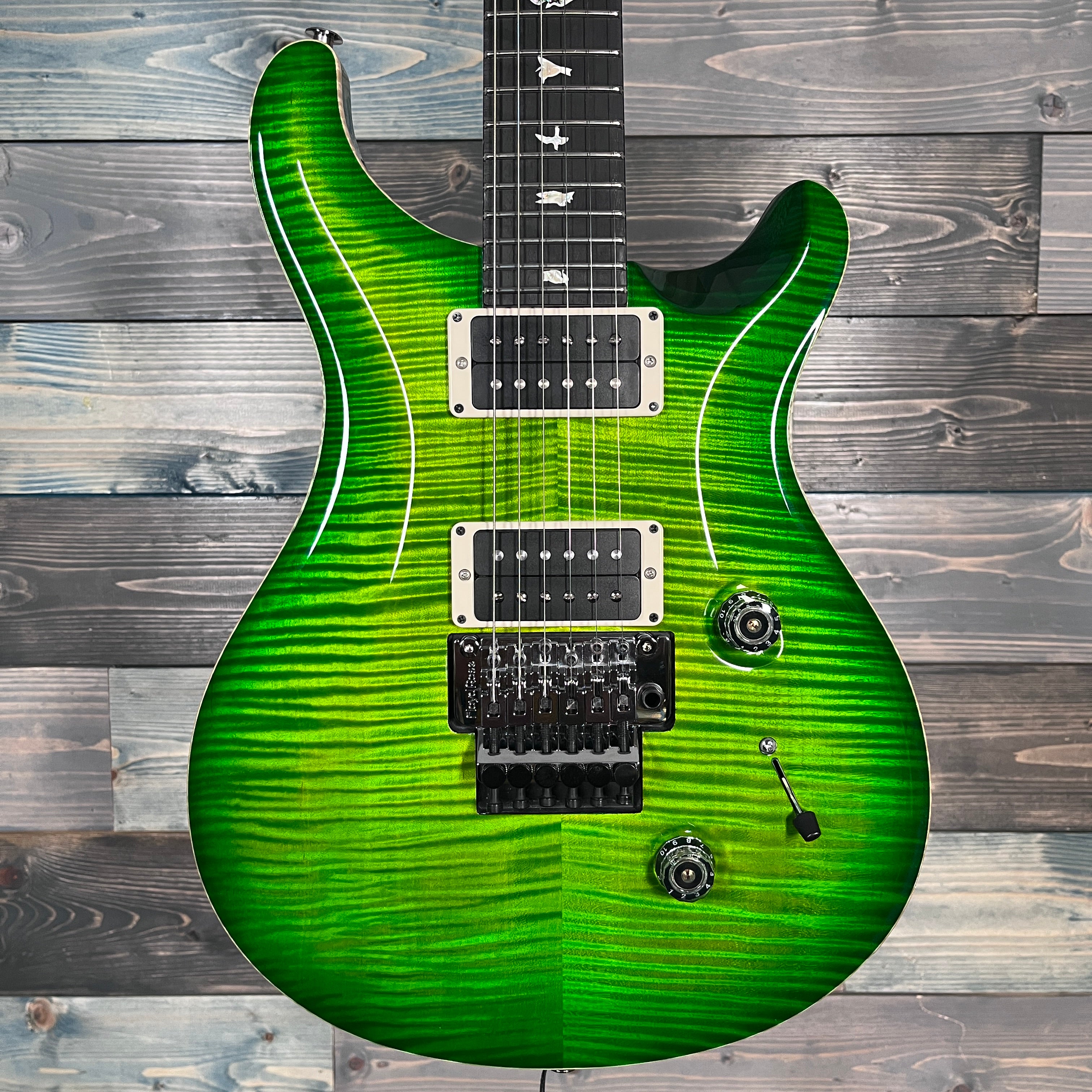 PRS "Floyd" Custom 24 10-Top Electric - Custom Color