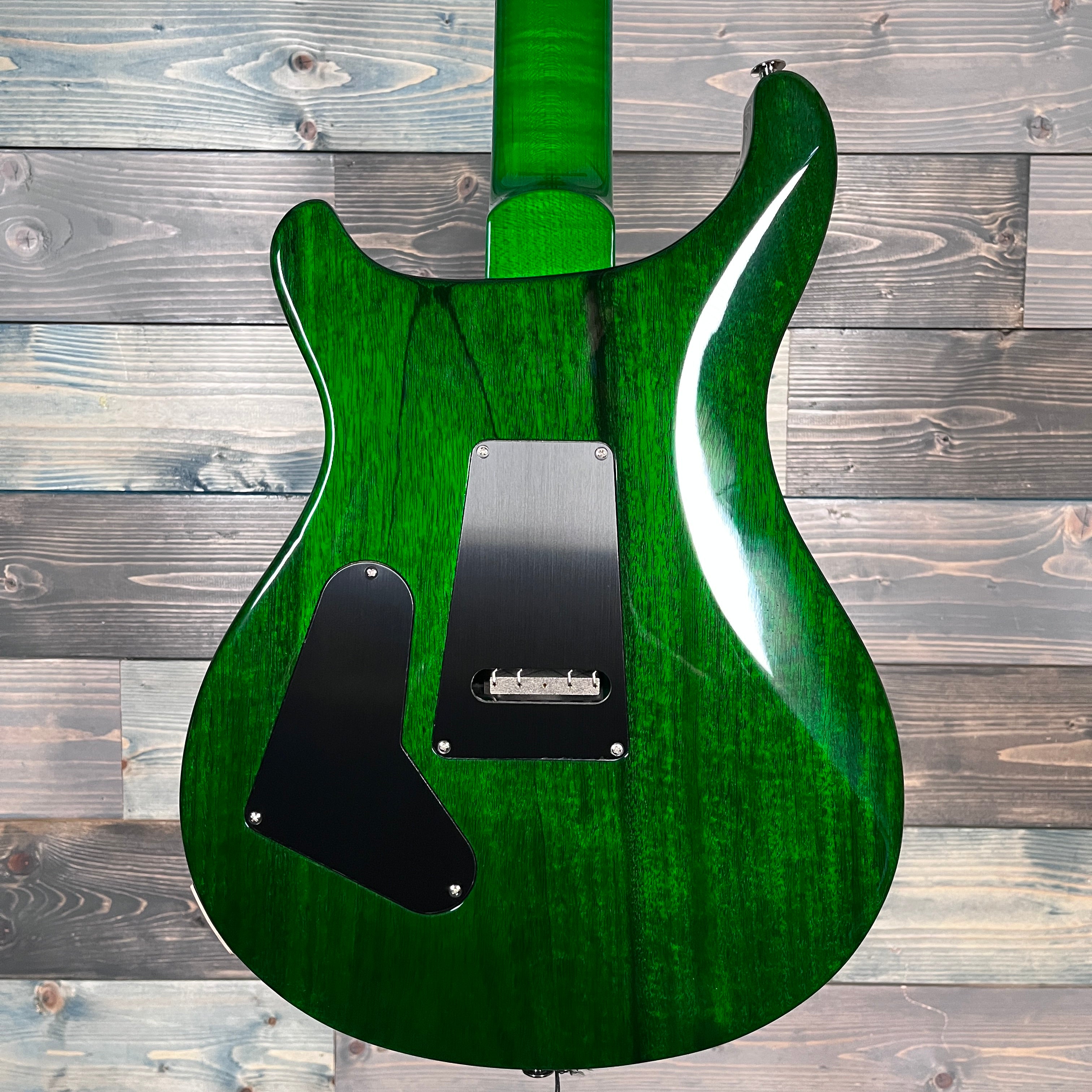 PRS "Floyd" Custom 24 10-Top Electric - Custom Color