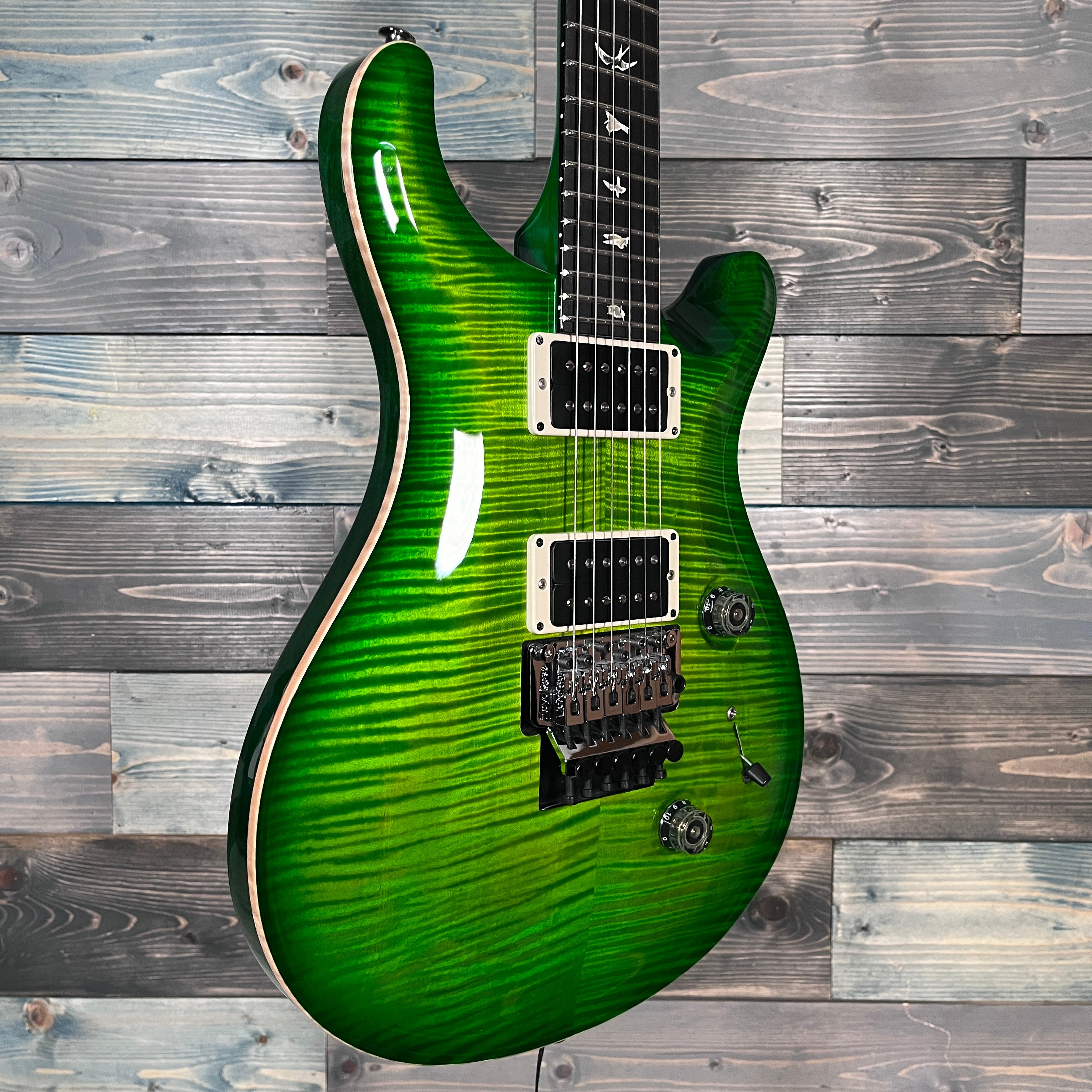 PRS "Floyd" Custom 24 10-Top Electric - Custom Color