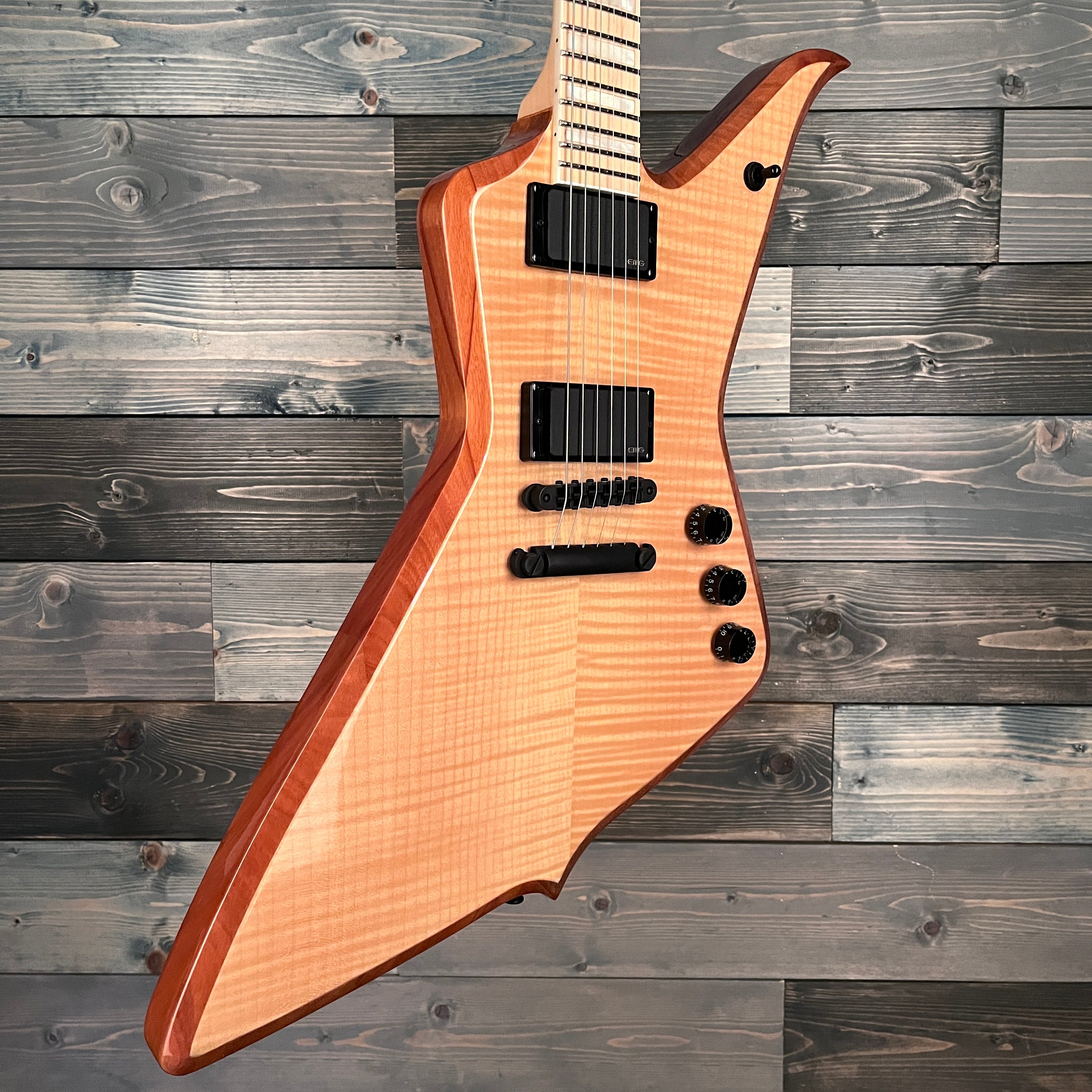 Wylde Audio 4523 Blood Eagle Raw Top Electric Guitar