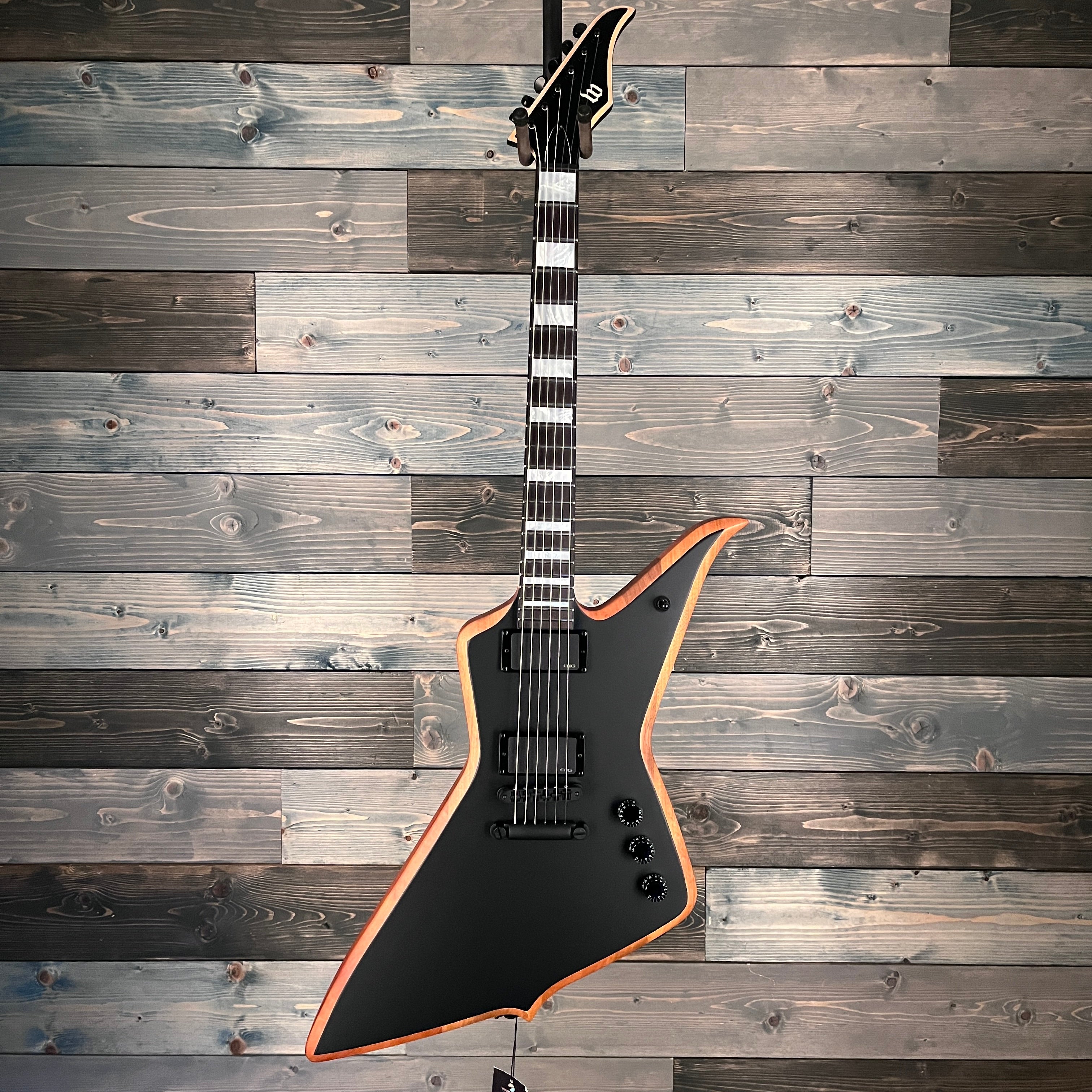 Wylde Audio 4520 Blood Eagle Electric Guitar - Mahogany Blackout