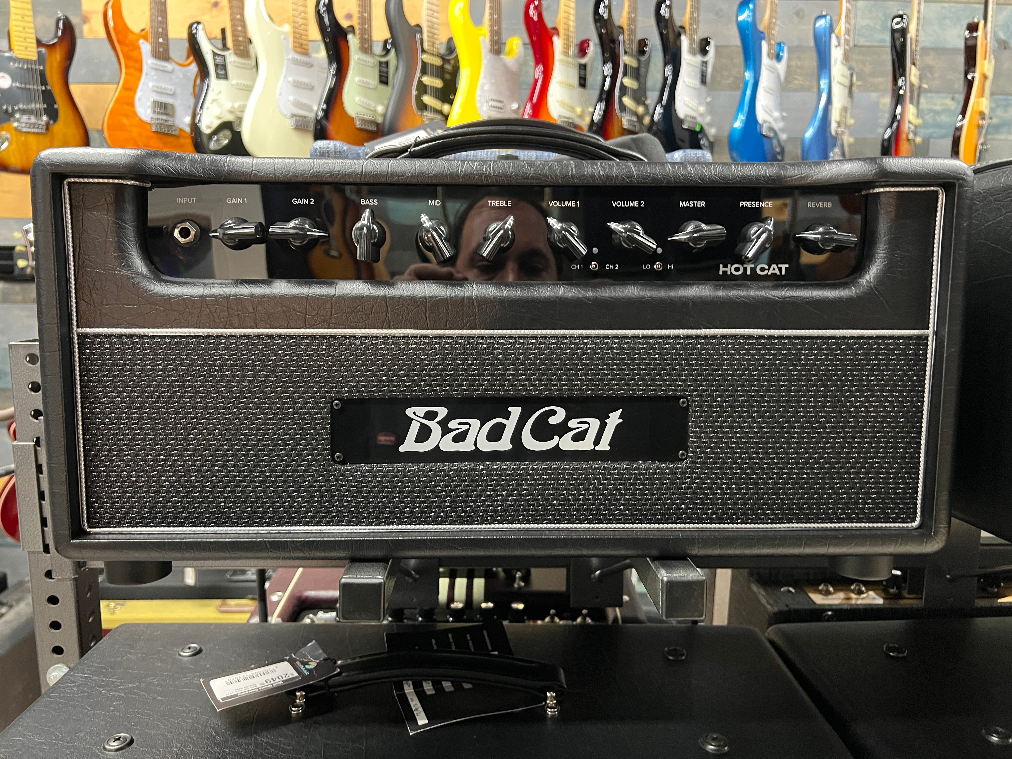 USED Bad Cat Hot Cat head