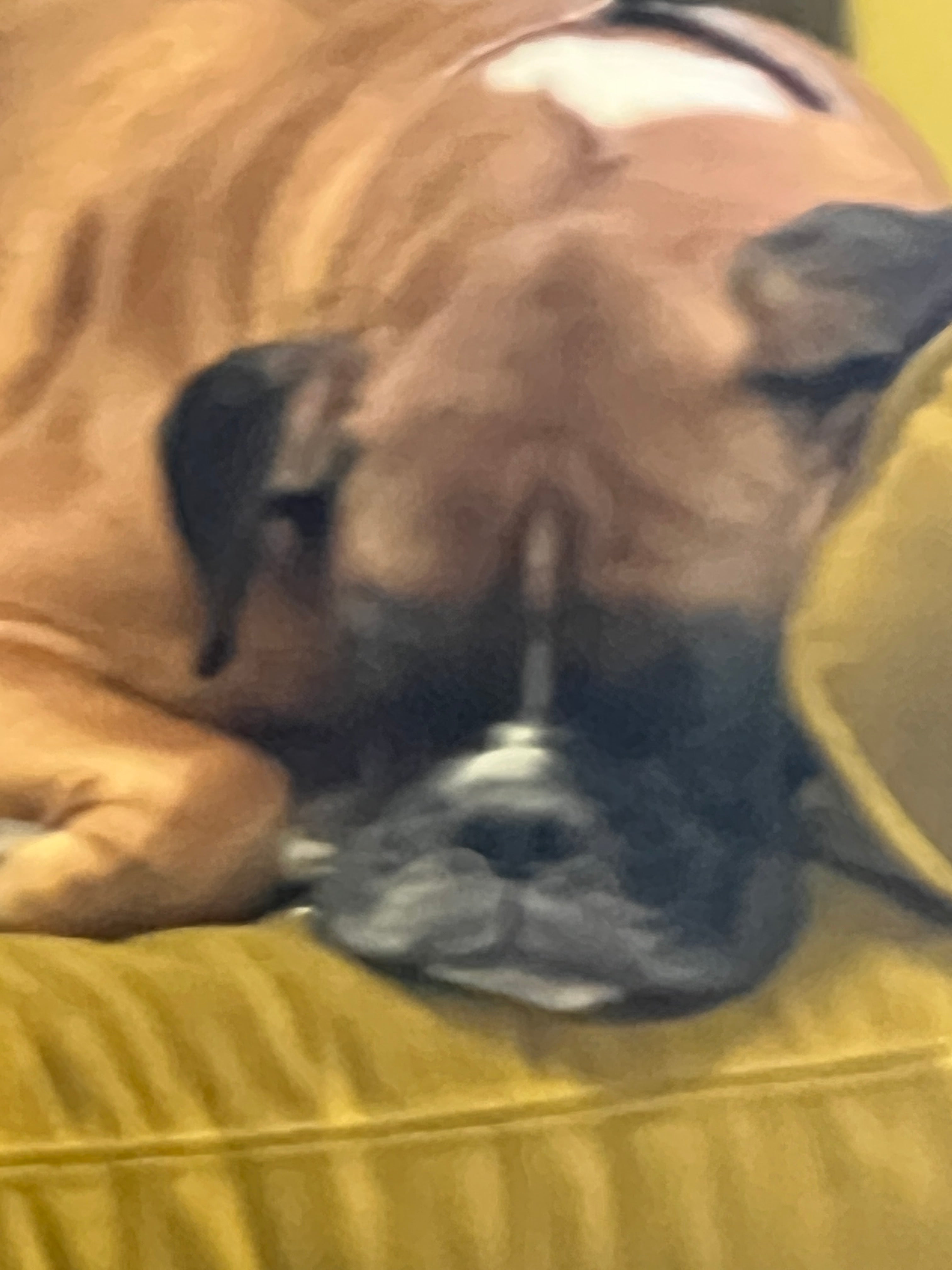 Chug Master Supreme Pedal