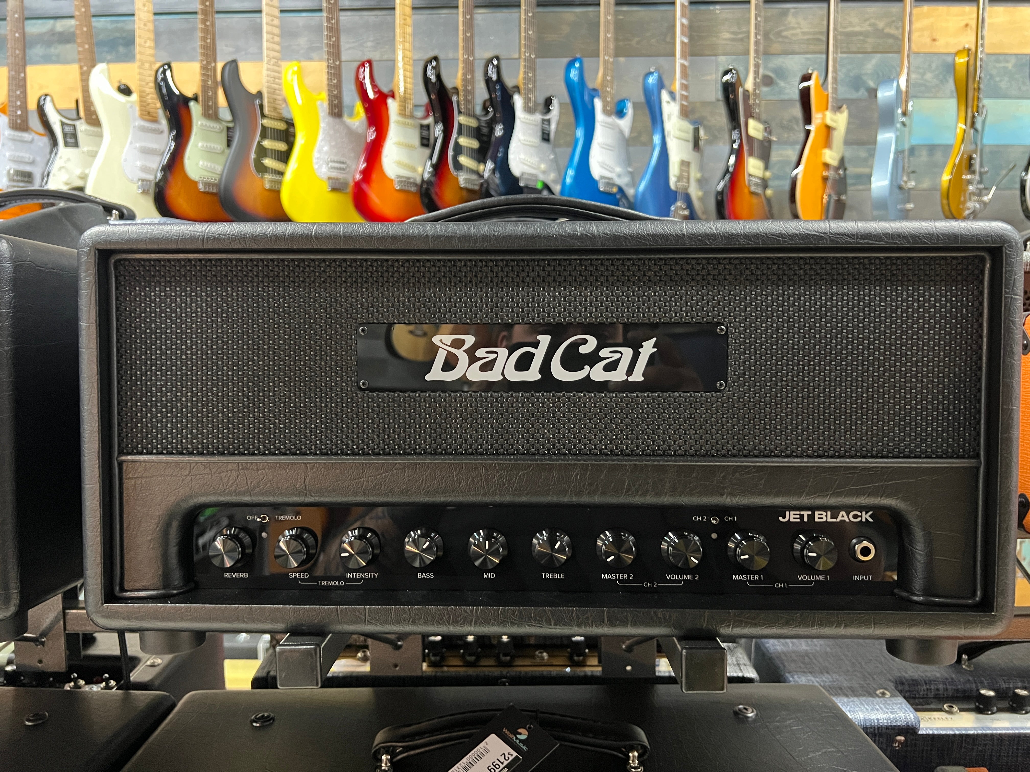 USED Bad Cat Jet Black head