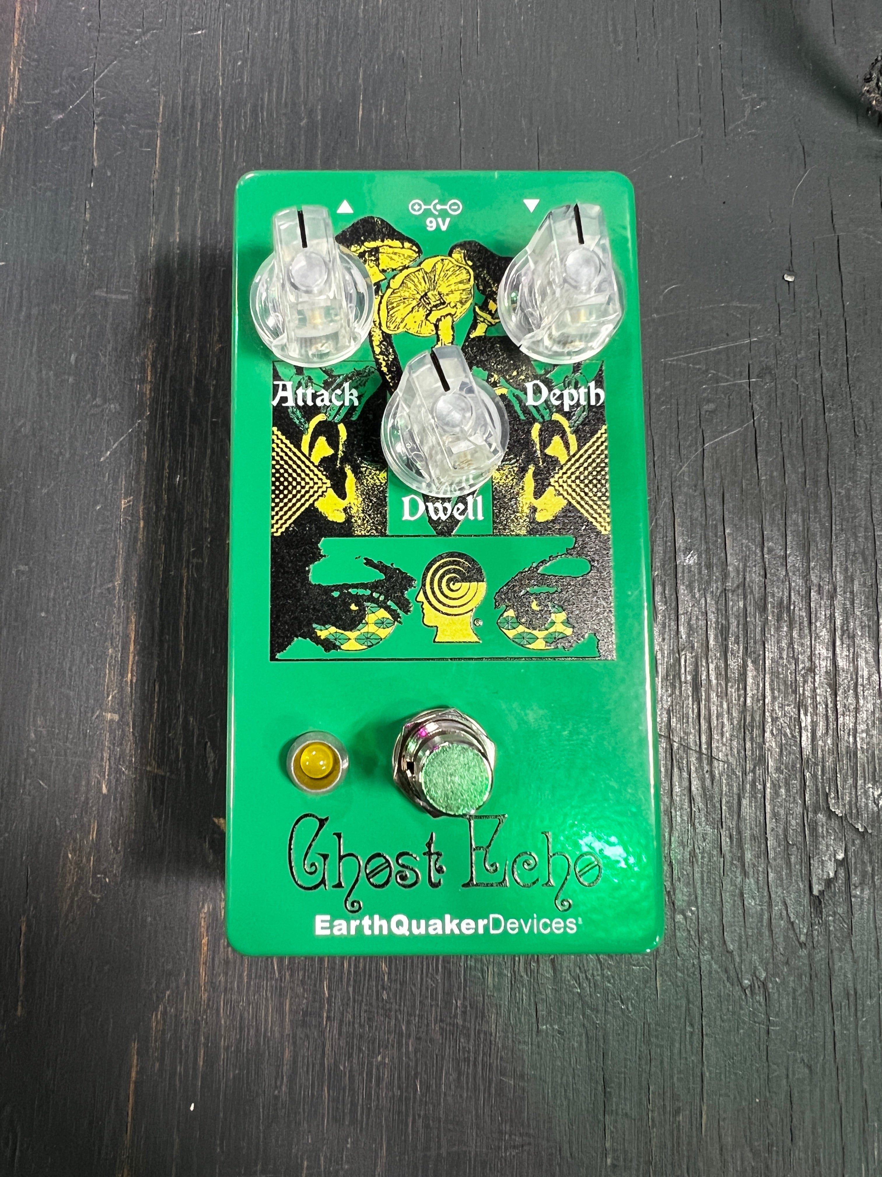 USED Earthquaker Devices Ghost Echo - Brain Dead