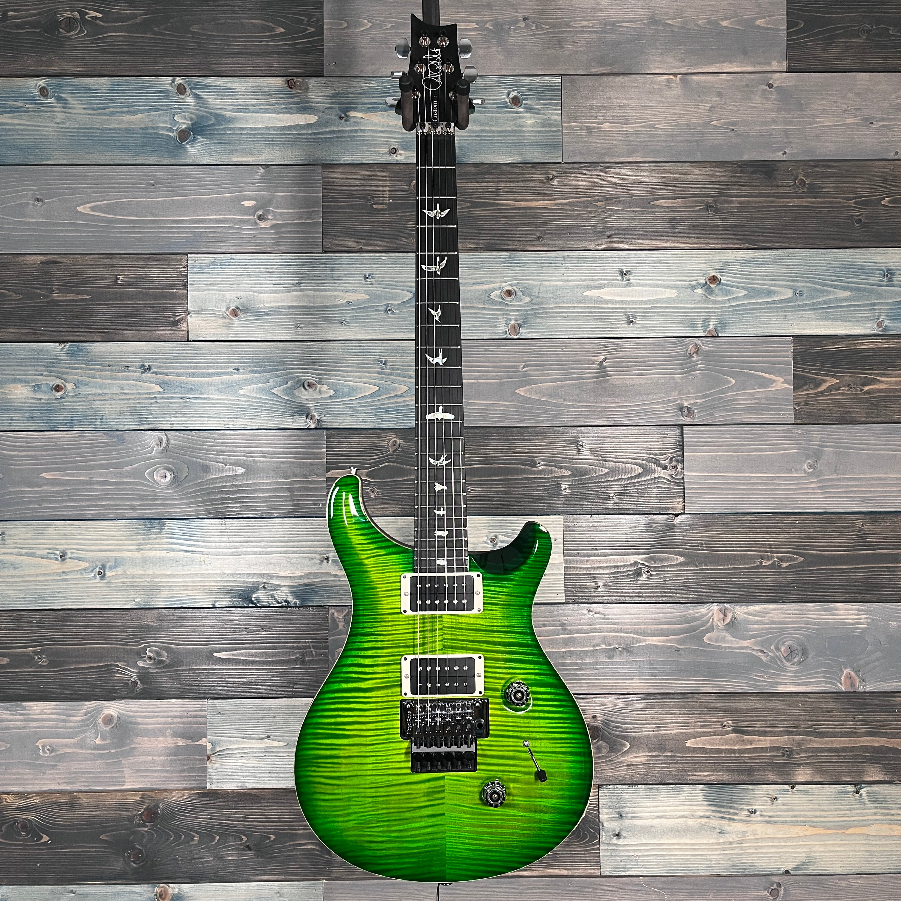 PRS "Floyd" Custom 24 10-Top Electric - Custom Color