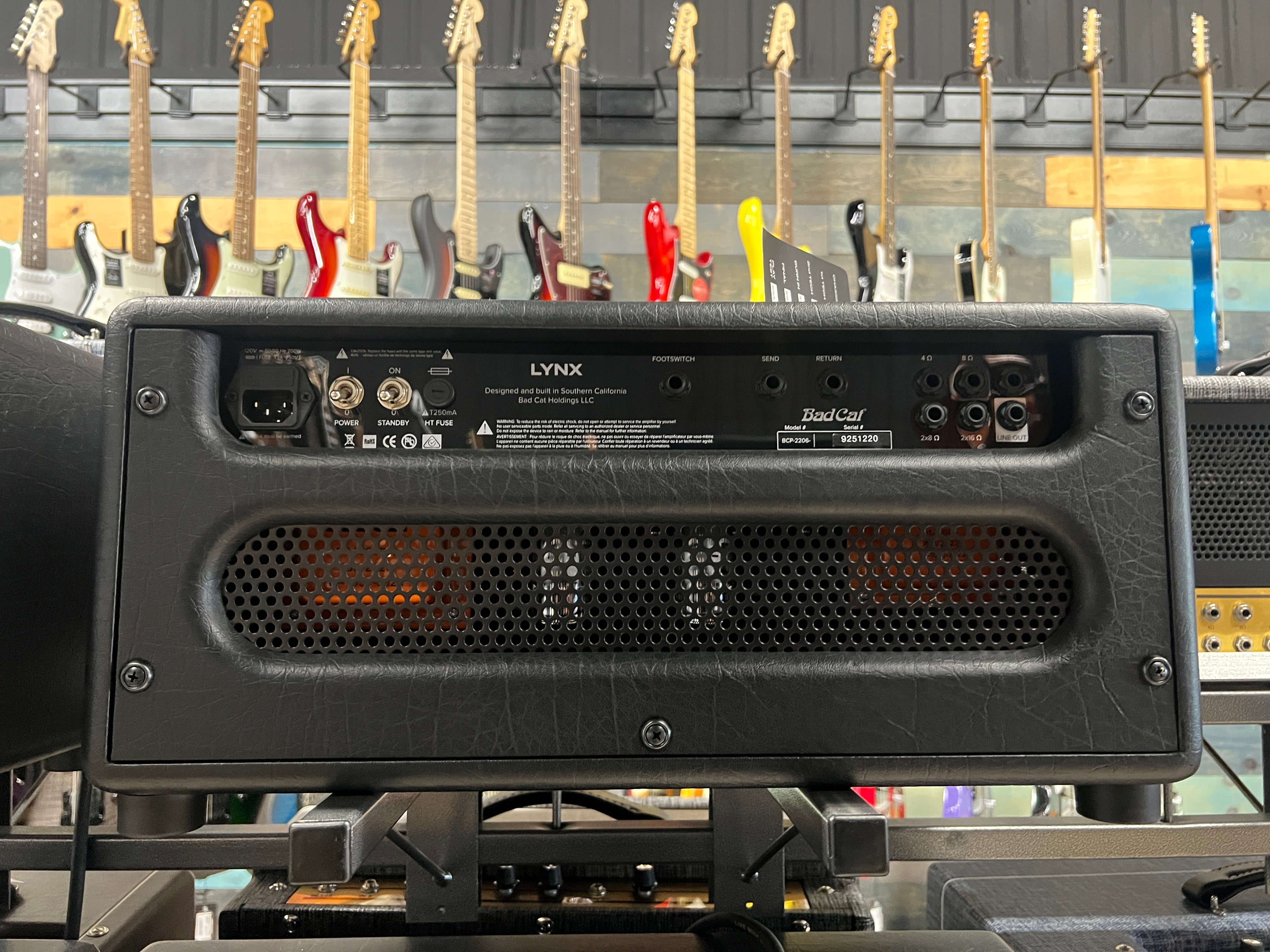 USED Bad Cat Lynx Head