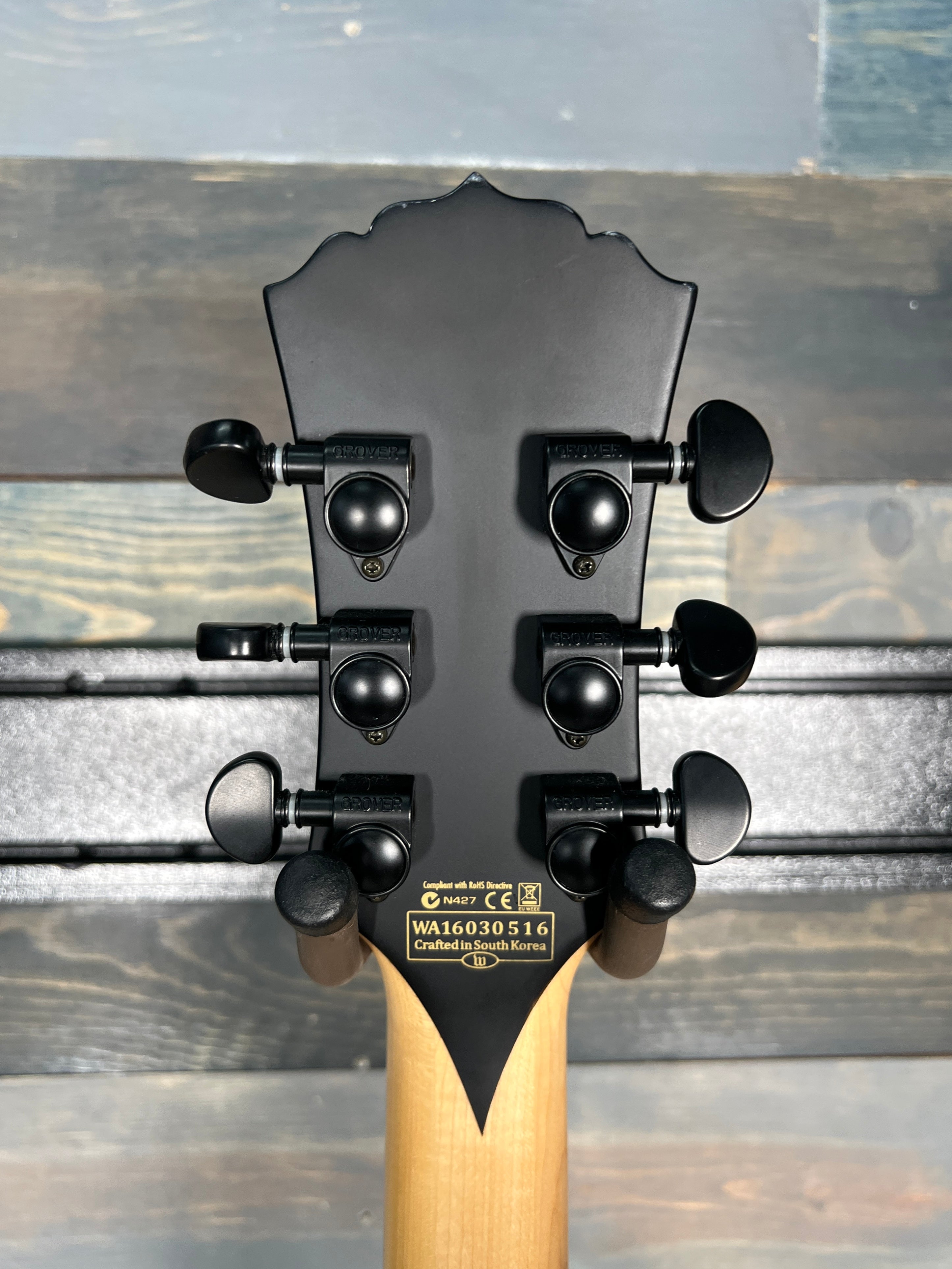 USED Wylde Audio ODIN - BLACKOUT BULLSEYE