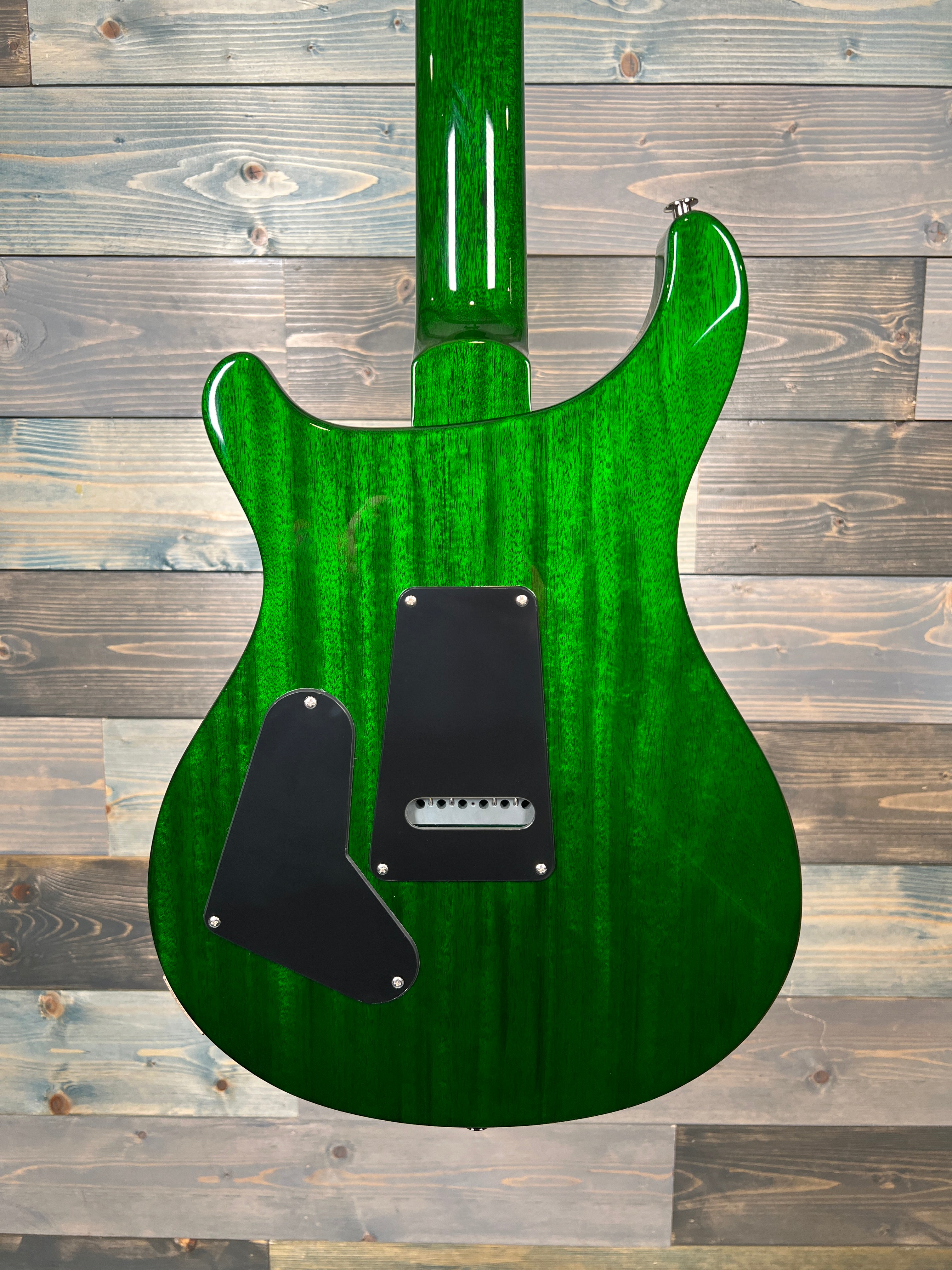 PRS S2 Custom 24 Electric - Eriza Verde