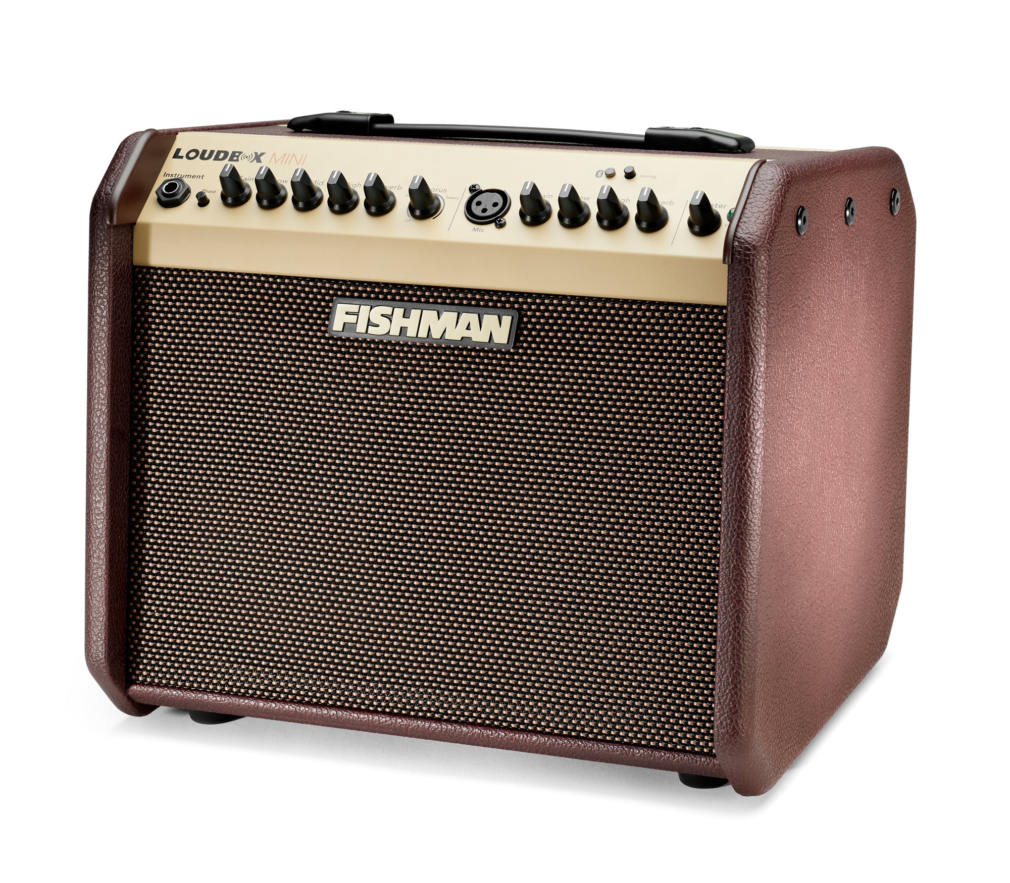 Fishman Loudbox Mini BT Amplifier