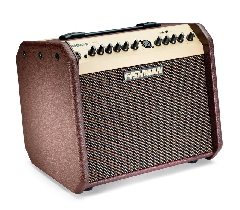 Fishman Loudbox Mini BT Amplifier