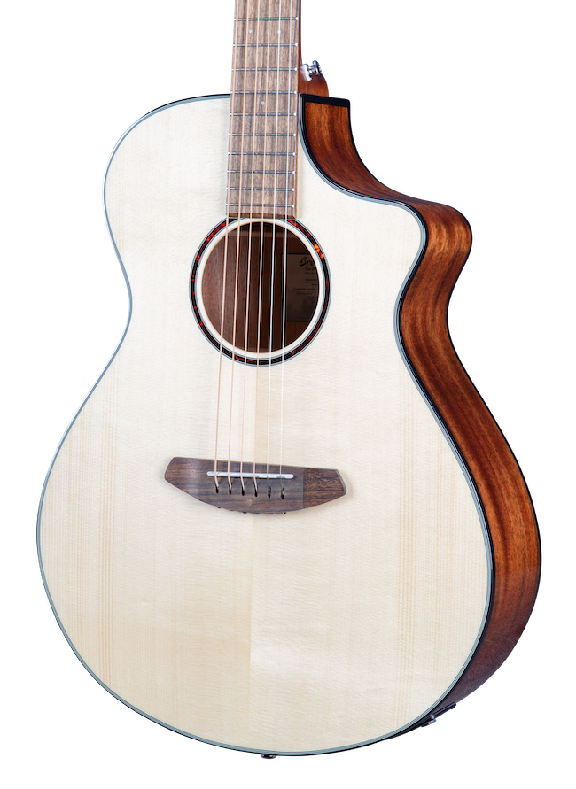 Breedlove Discovery S Concert CE European-African mahogany