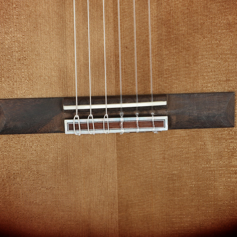 Cordoba Fusion 5 Electric Nylon String Guitar - Sonata Burst