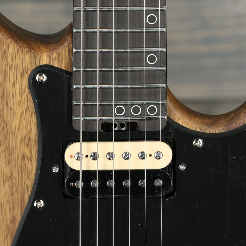 Schecter 1269 Sun Valley Sun Shredder Exotic Hardtail - Black Limba