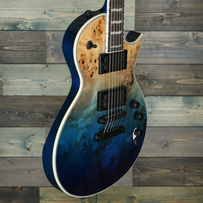 ESP LTD EC-1000 Electric Guitar - Blue Natural Fade