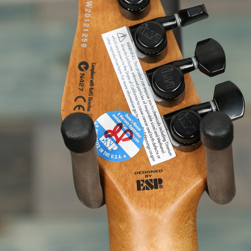 ESP LTD SN-1000HT Electric Guitar Purple Blast Black Pickguard