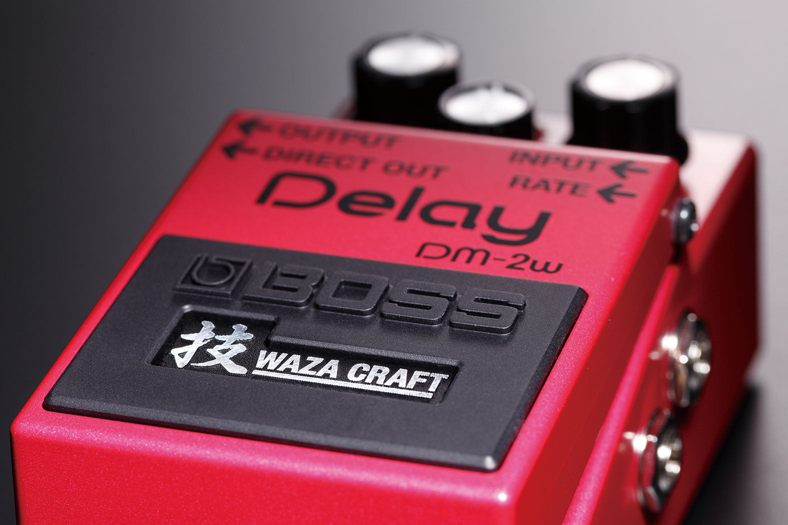 Boss DM-2W Analog Delay WAZA CRAFT