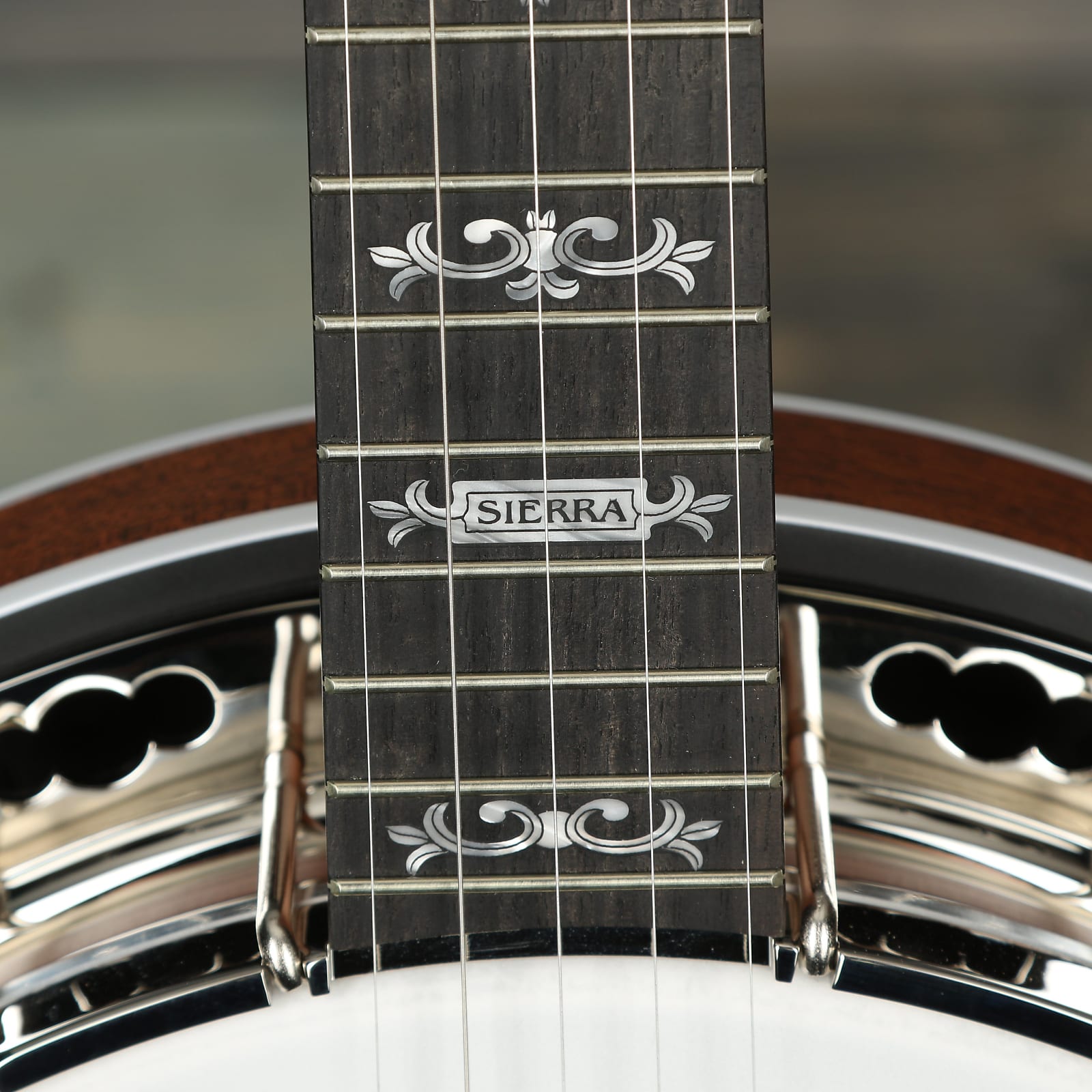 Deering Banjos Sierra 5-String Banjo