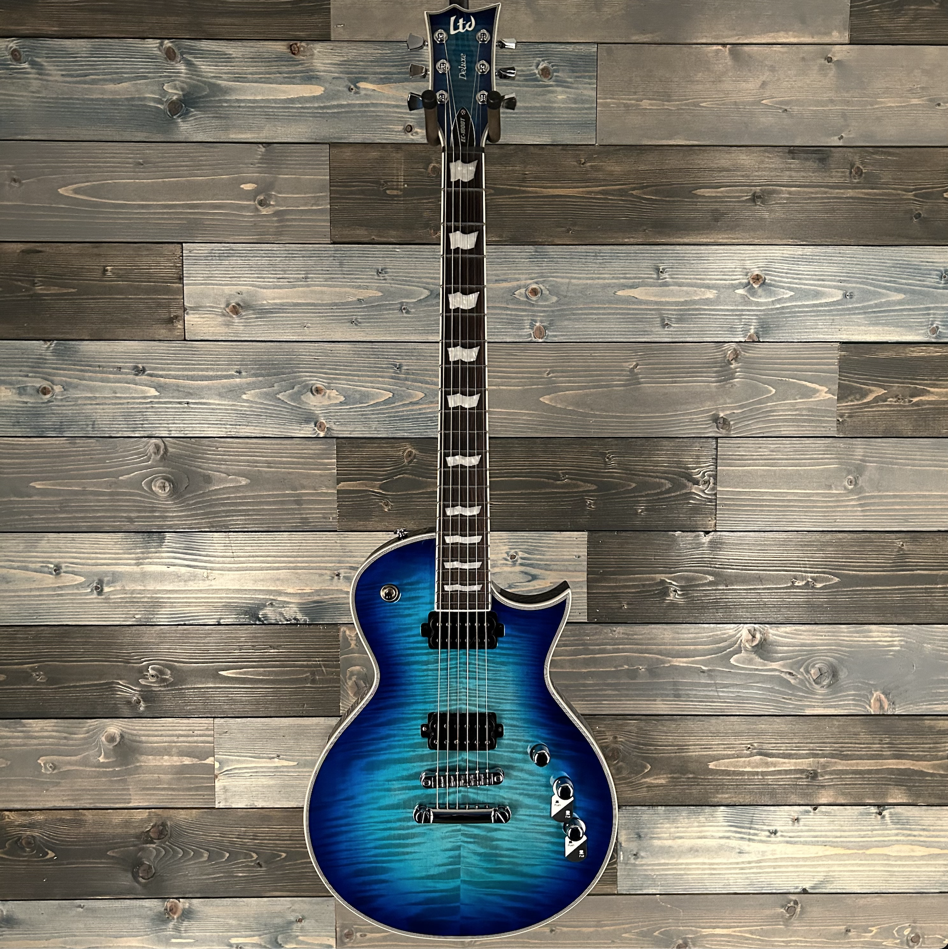 ESP LTD EC-1000T CTM Electric Guitar -  Violet Shadow