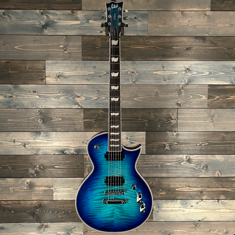 ESP LTD EC-1000T CTM Electric Guitar -  Violet Shadow
