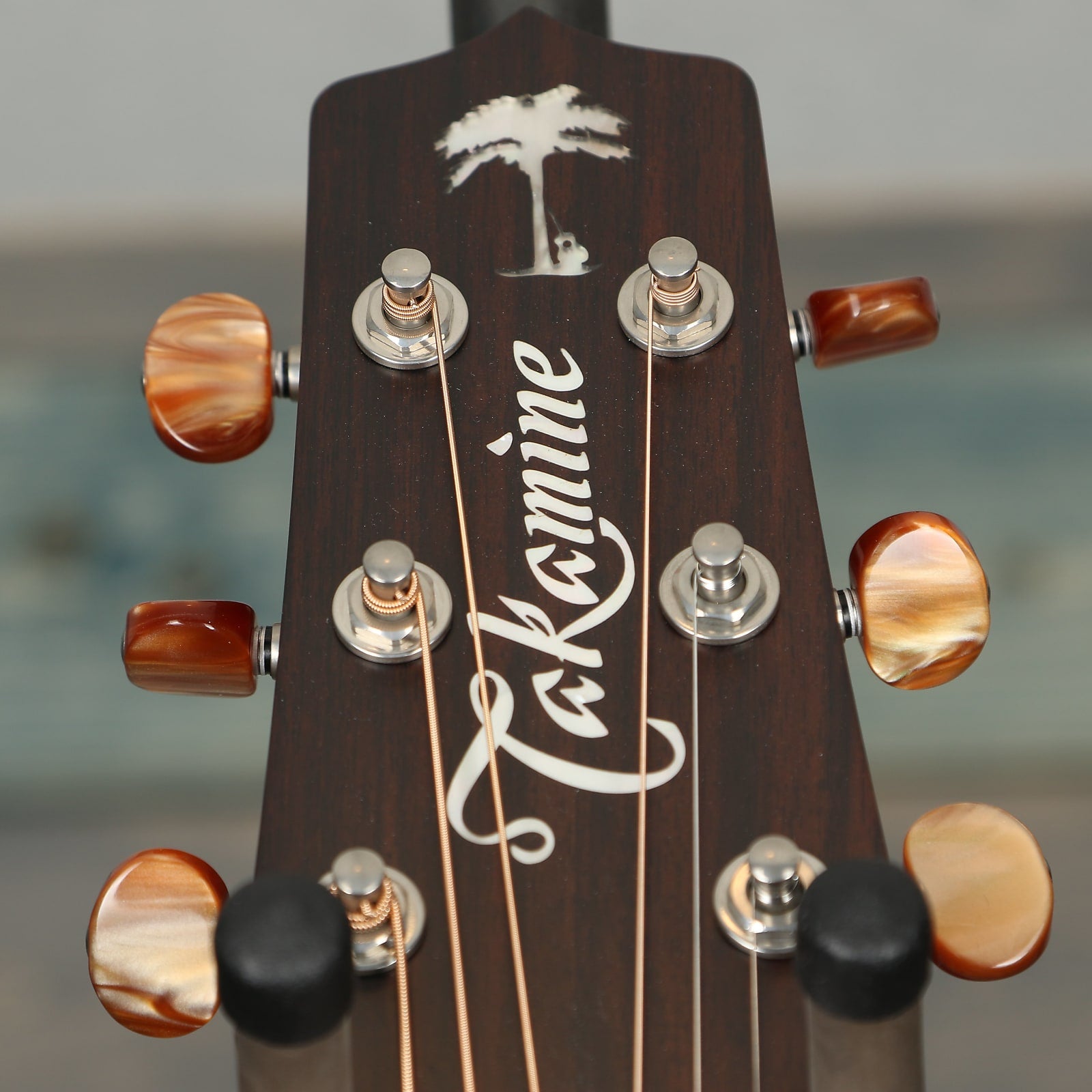 Takamine KC70 Kenny Chesney Model NEX w/Case