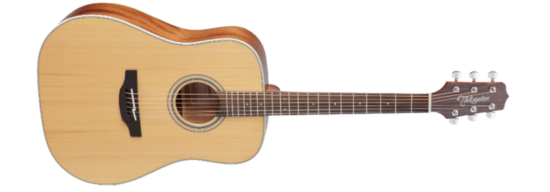 Takamine online gd 20