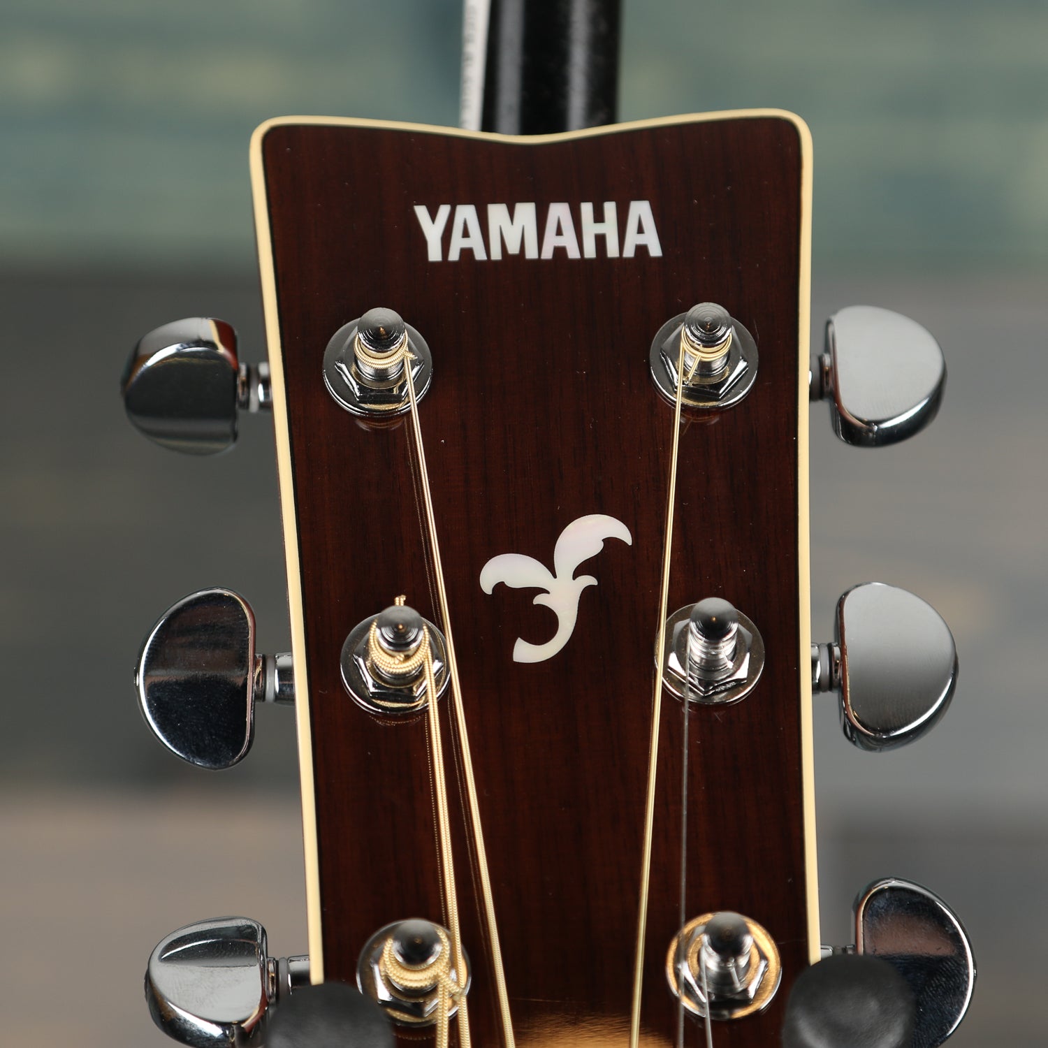 Yamaha FSX830C Concert Cutaway - Brown Sunburst