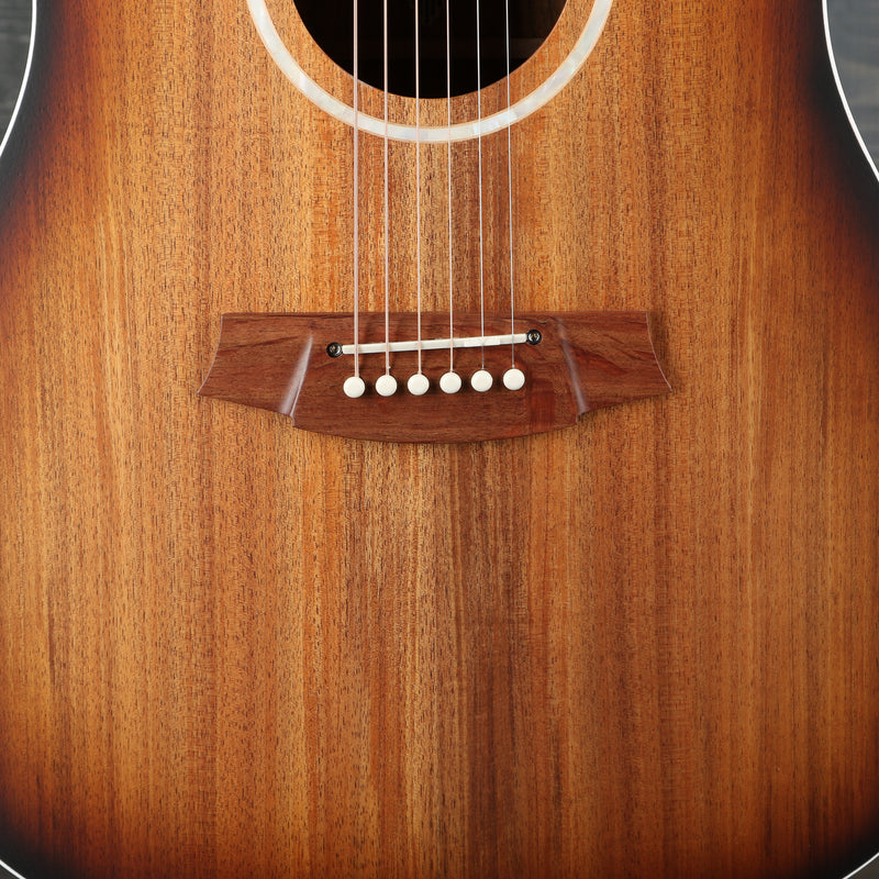 Cole Clark Fat Lady 2 Series FL2EC-BLBL Blackwood/Blackwood w/Sunburst 1