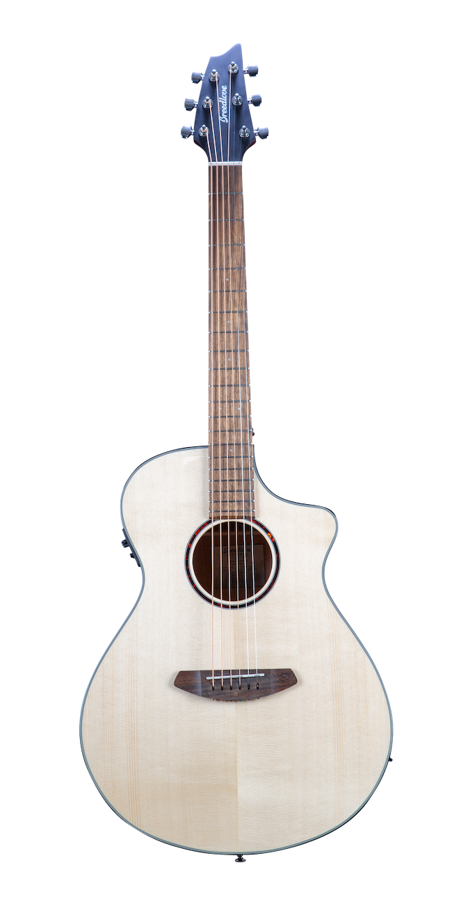 Breedlove Discovery S Concert CE European-African mahogany